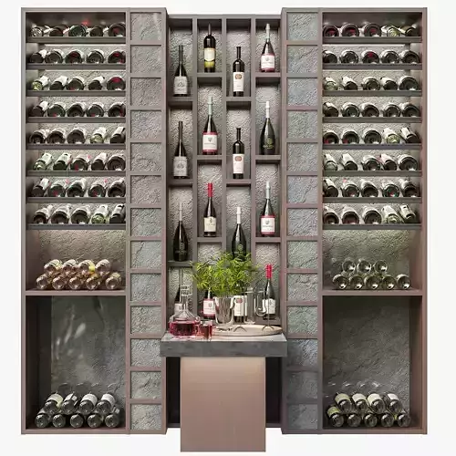 Large rack with collection wine