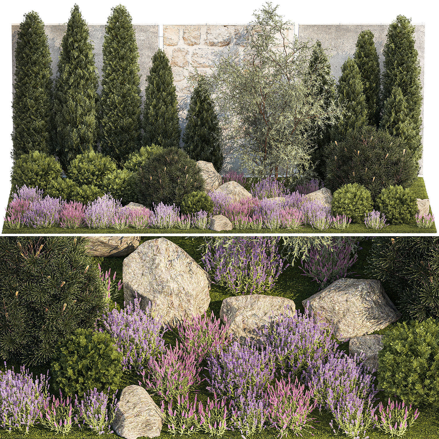 Garden with alpine slide bushes of thuja and lavender 1265 3D model_9