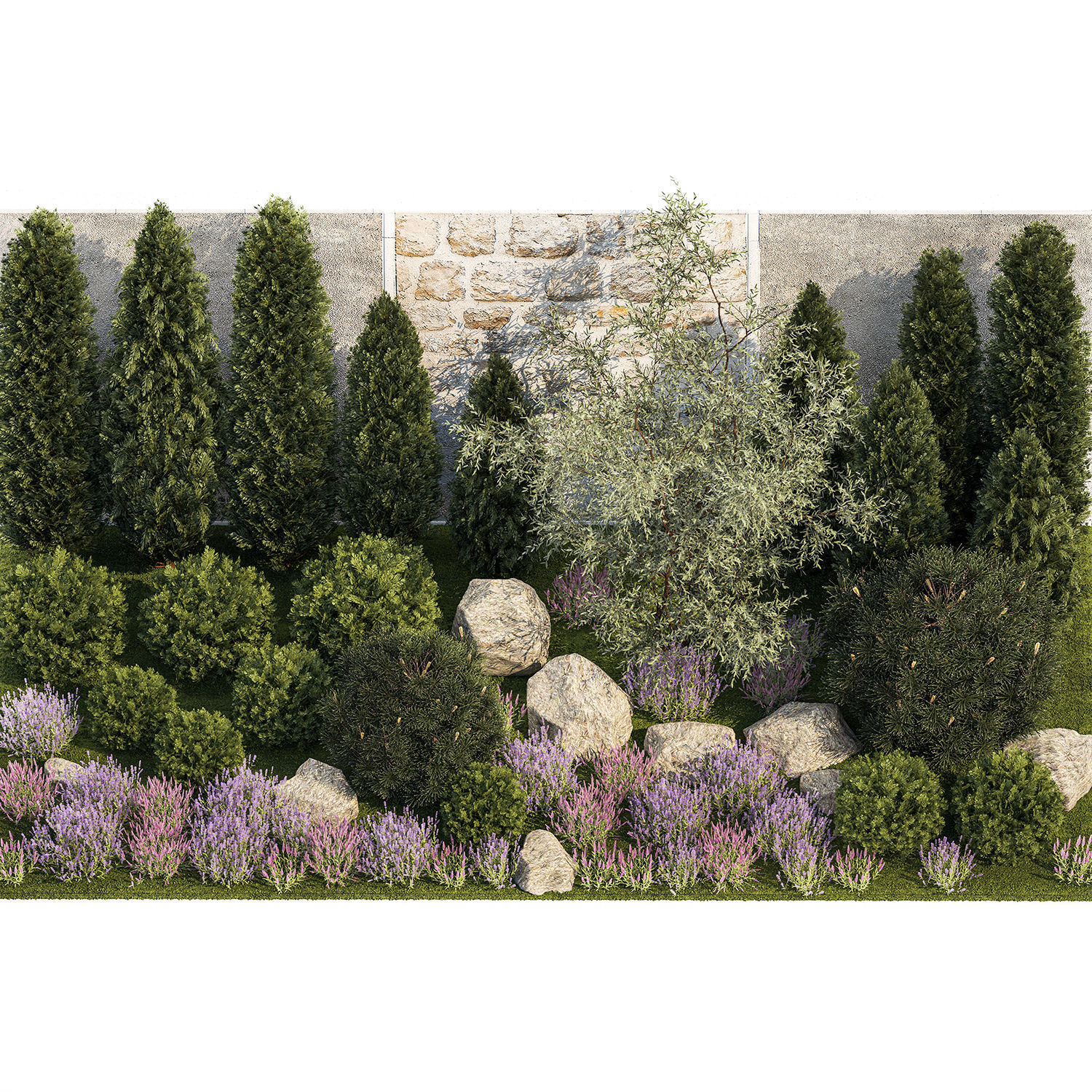 Garden with alpine slide bushes of thuja and lavender 1265 3D model_13