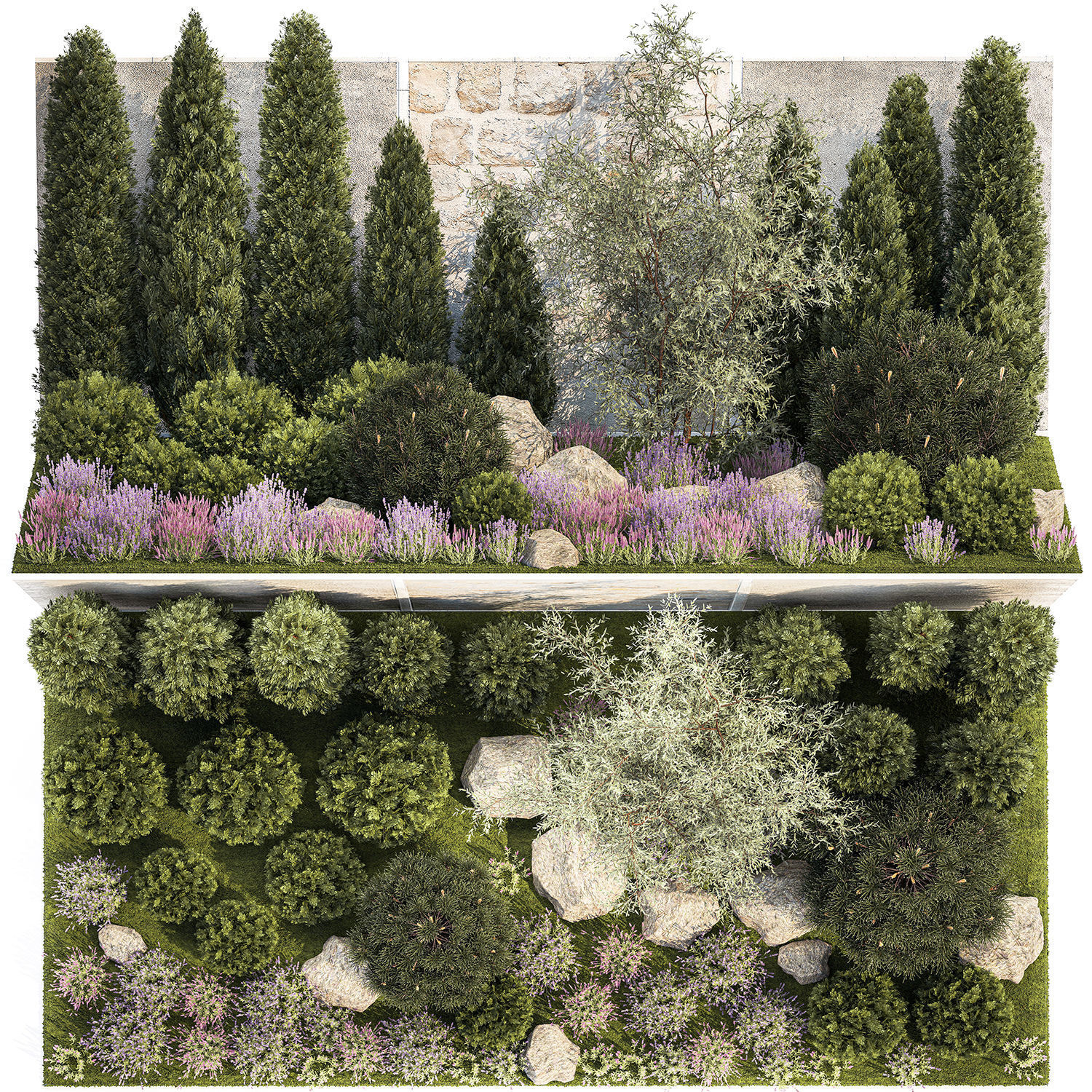 Garden with alpine slide bushes of thuja and lavender 1265 3D model_16