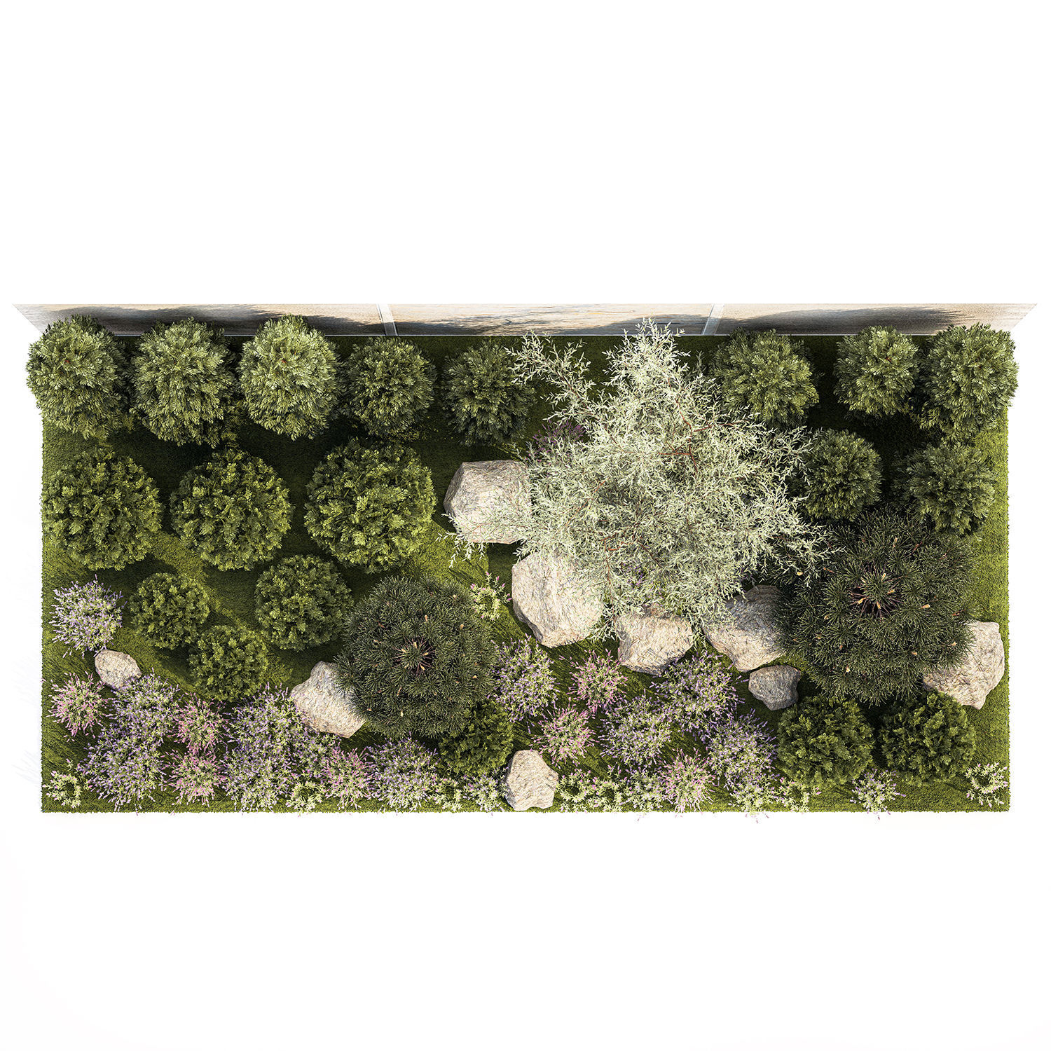 Garden with alpine slide bushes of thuja and lavender 1265 3D model_15