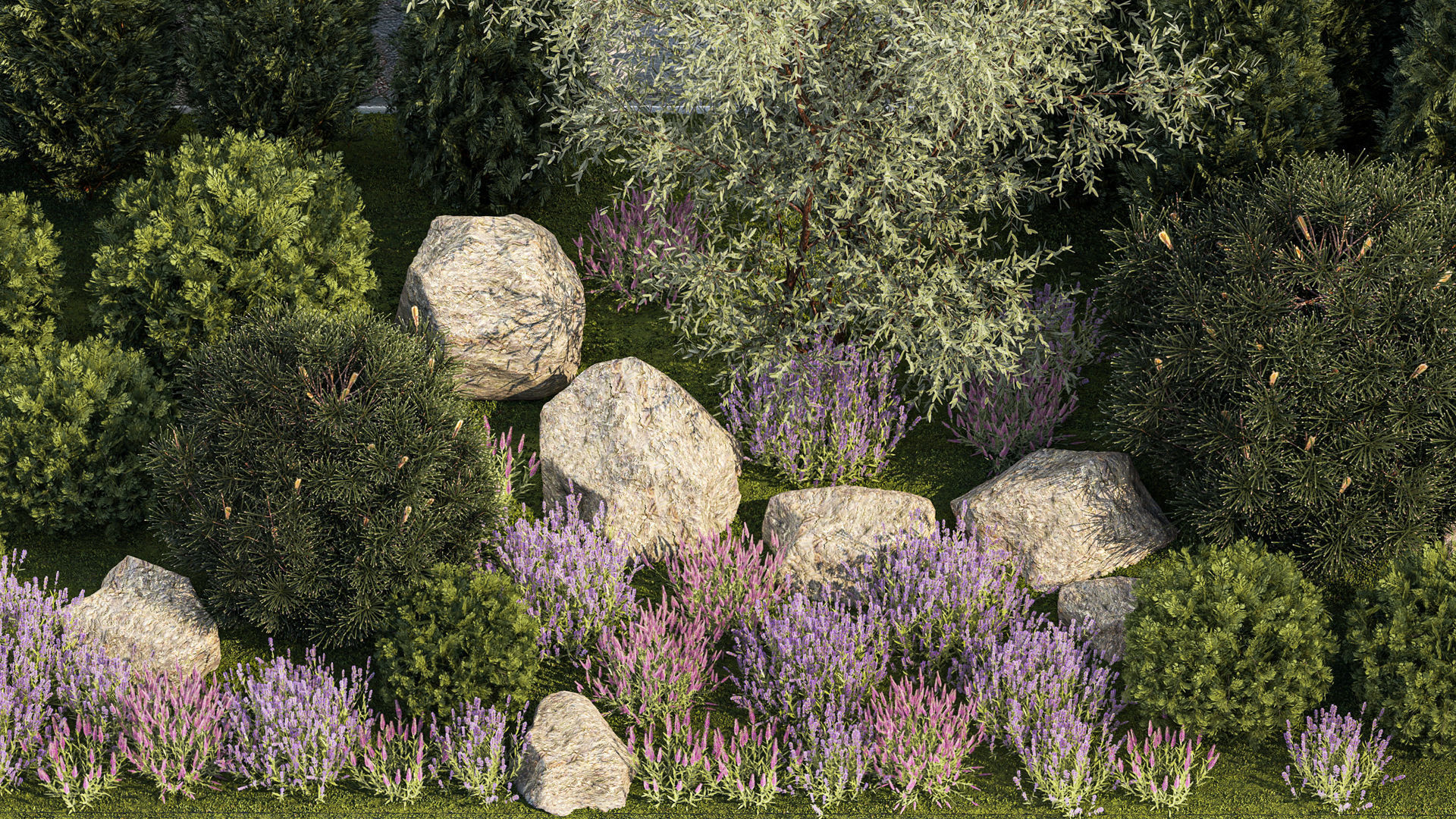 Garden with alpine slide bushes of thuja and lavender 1265 3D model_8