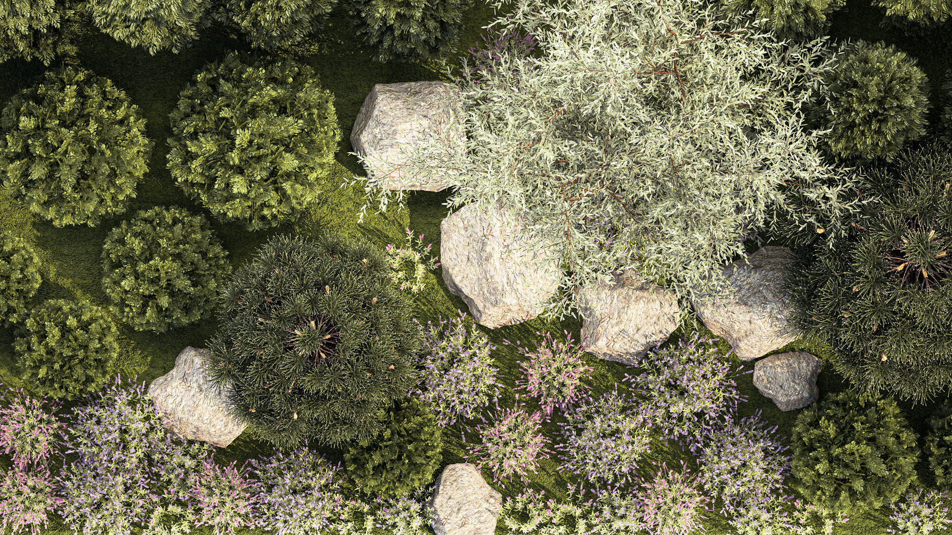 Garden with alpine slide bushes of thuja and lavender 1265 3D model_7