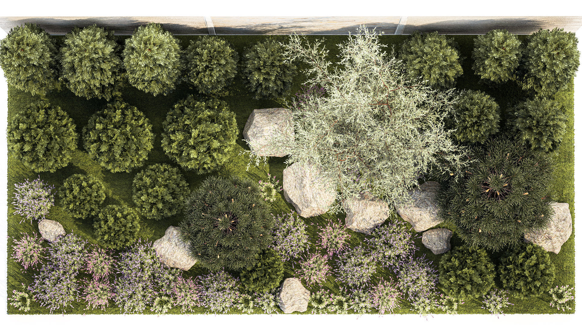 Garden with alpine slide bushes of thuja and lavender 1265 3D model_5