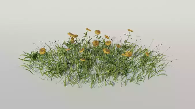 grass plant Low-poly 3D model