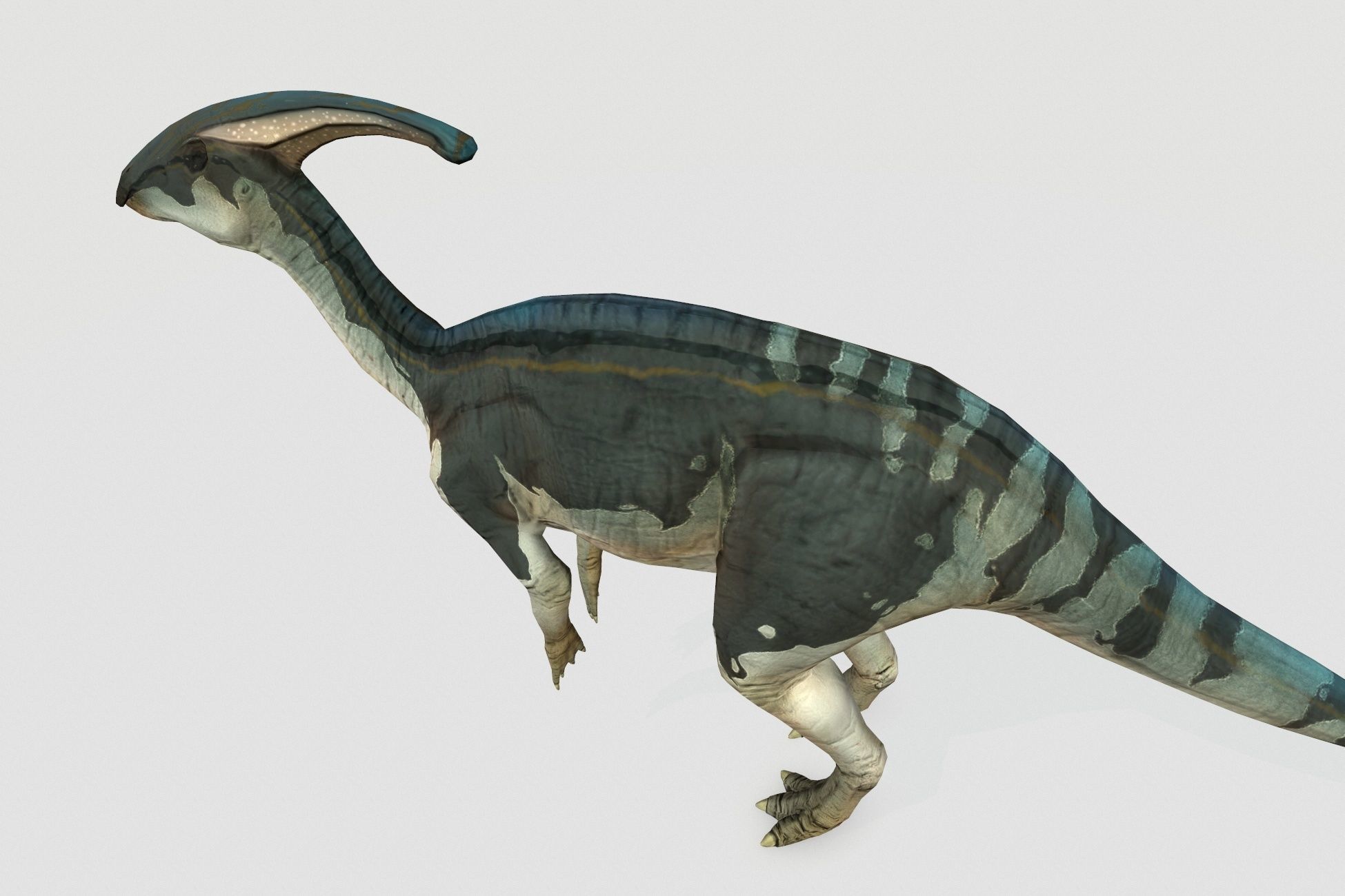 Parasaurolophus Low-poly 3D model_4
