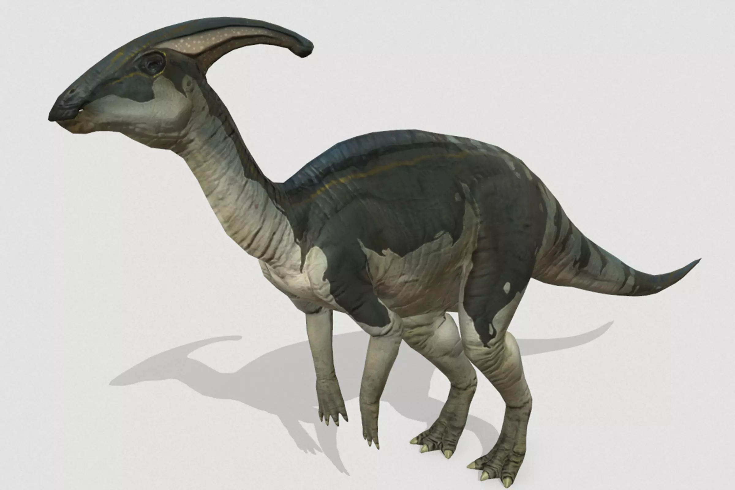 Parasaurolophus Low-poly 3D model_0