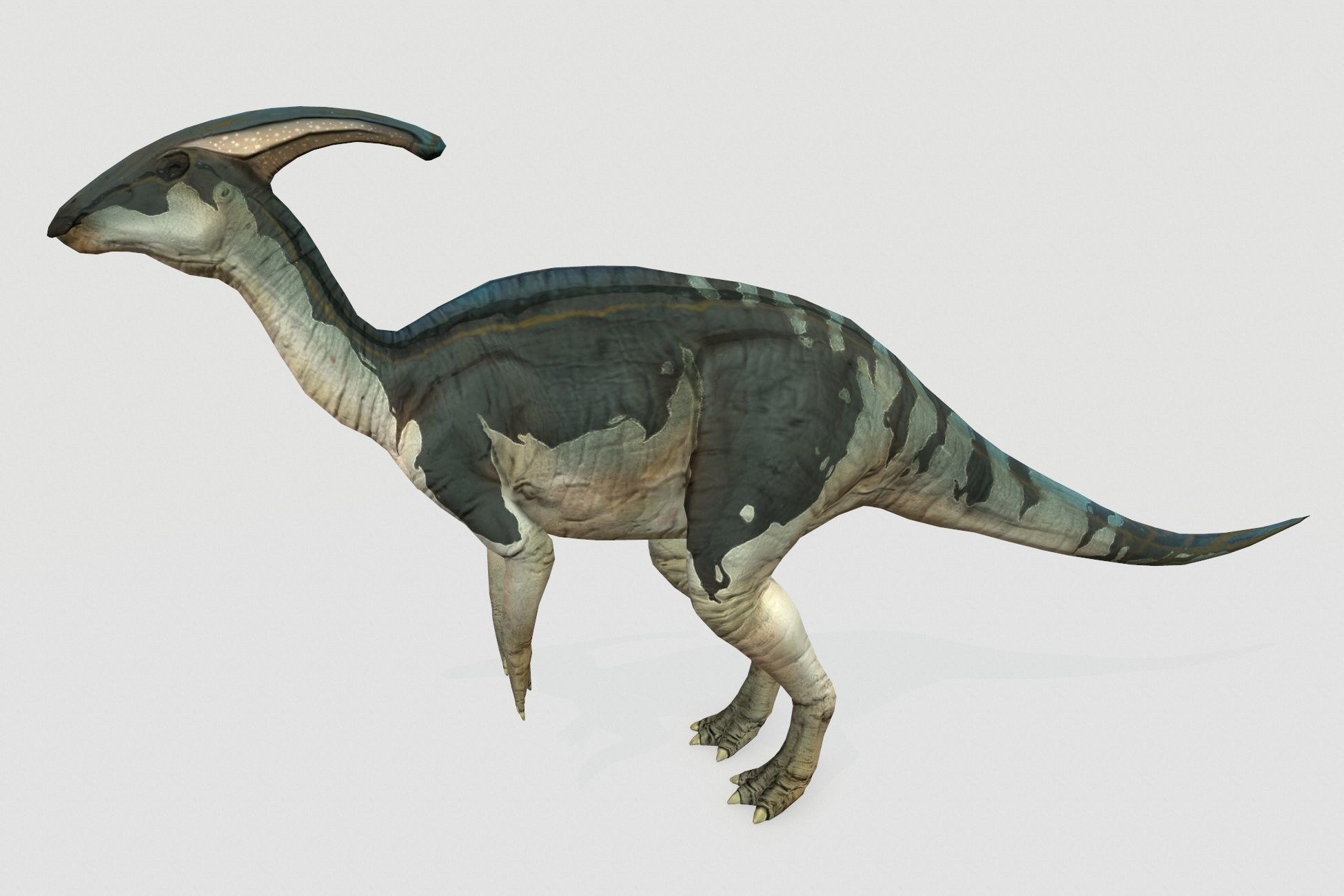 Parasaurolophus Low-poly 3D model_2