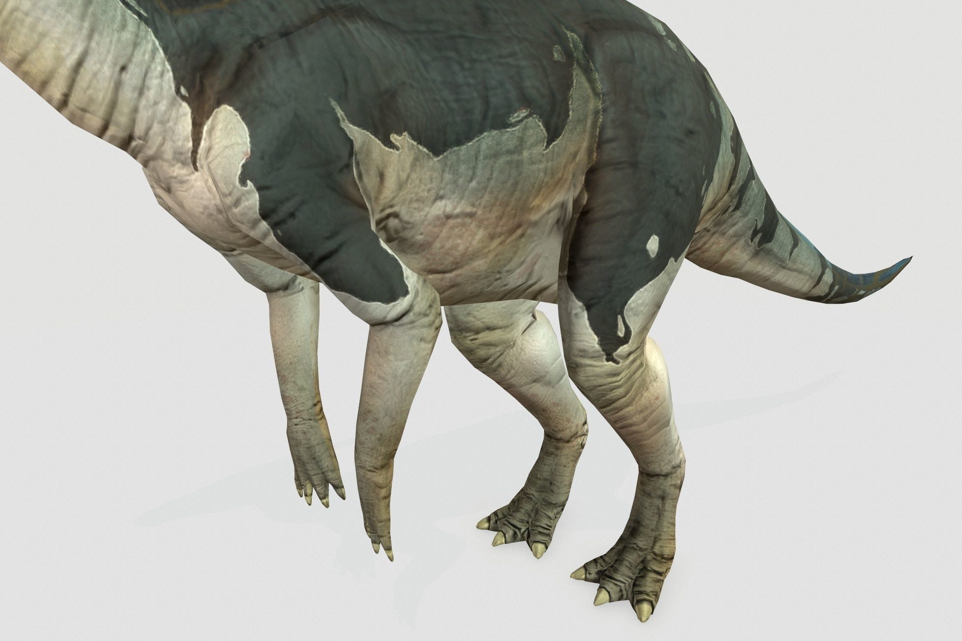 Parasaurolophus Low-poly 3D model_6