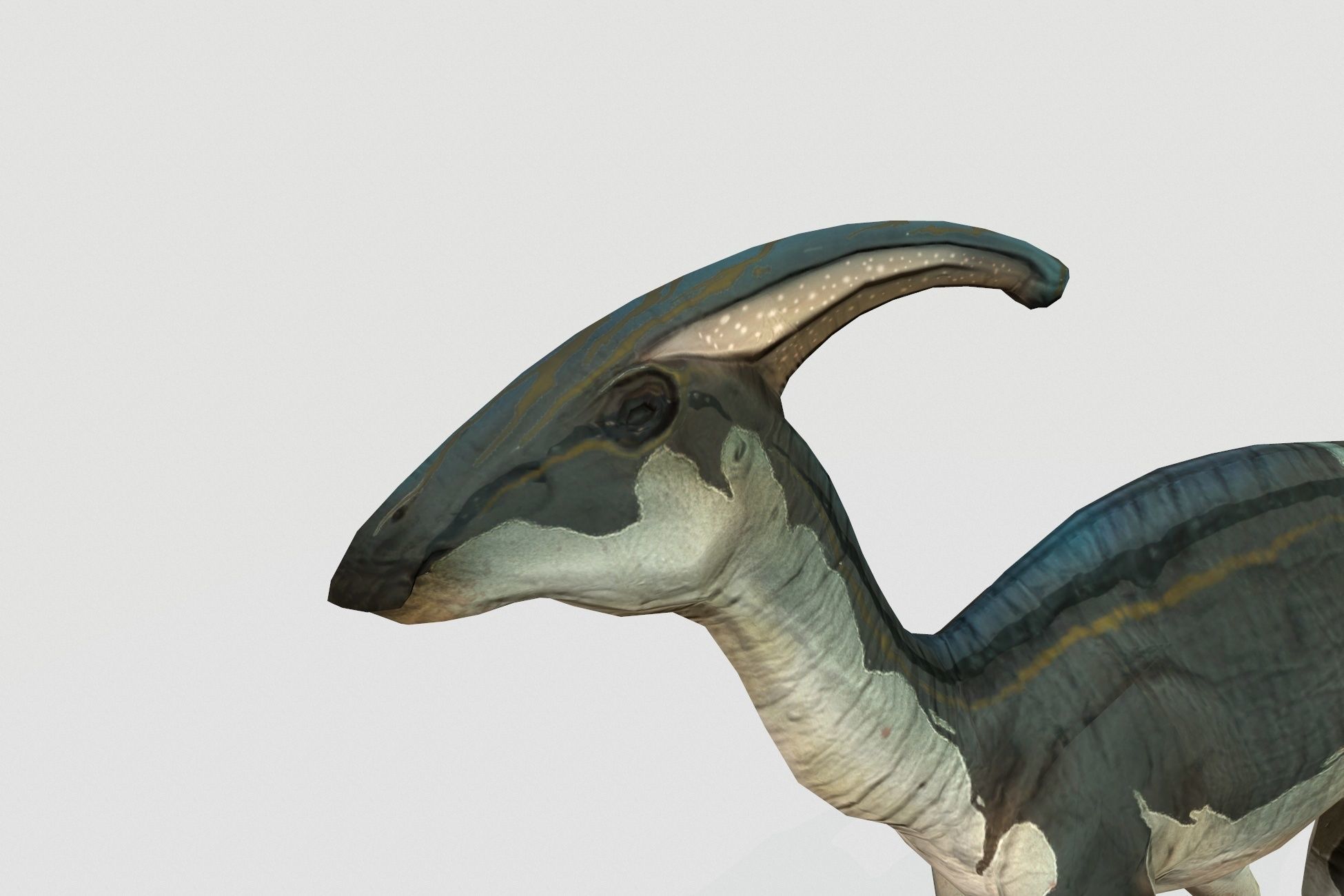 Parasaurolophus Low-poly 3D model_5