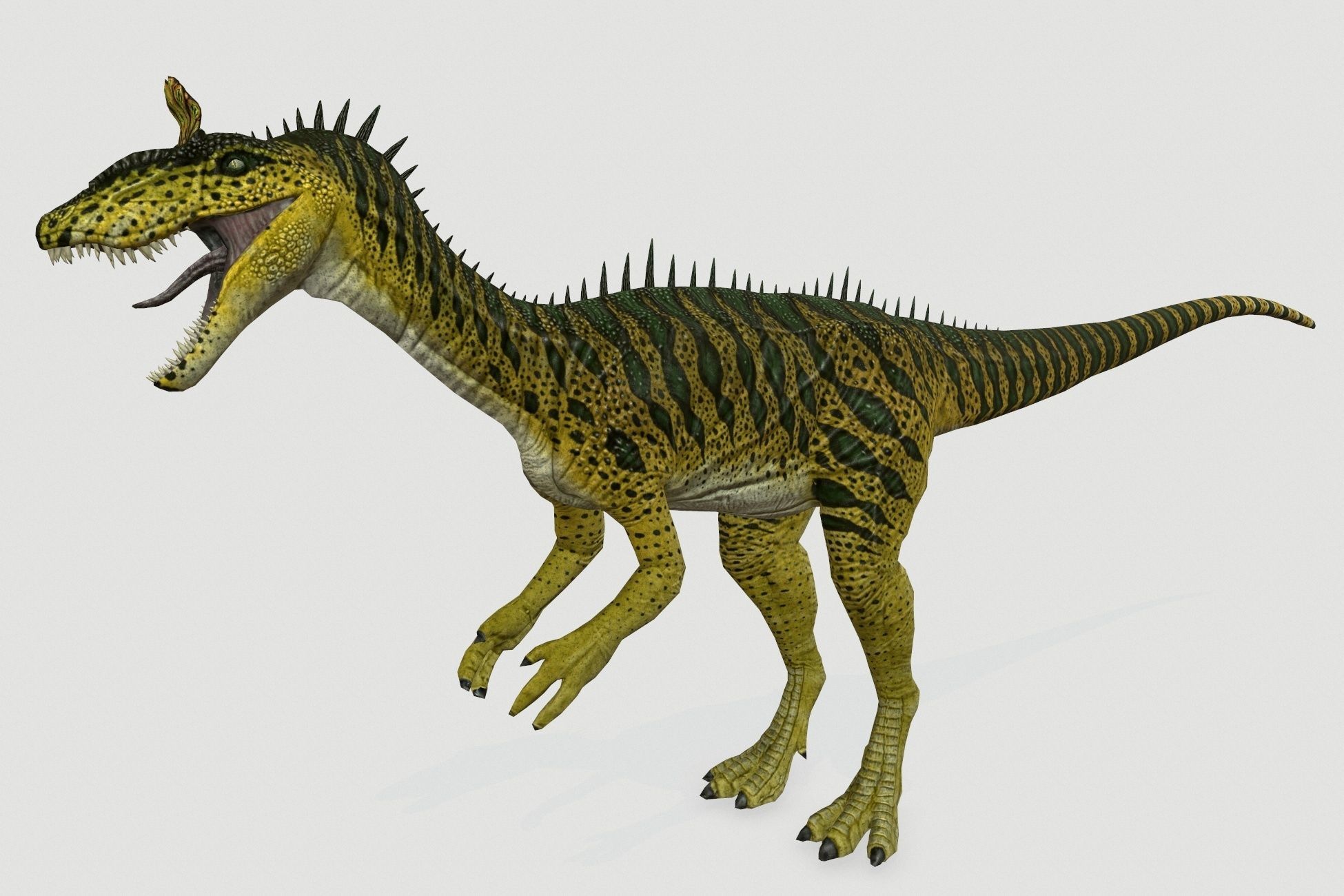 Cryolophosaurus Low-poly 3D model_2