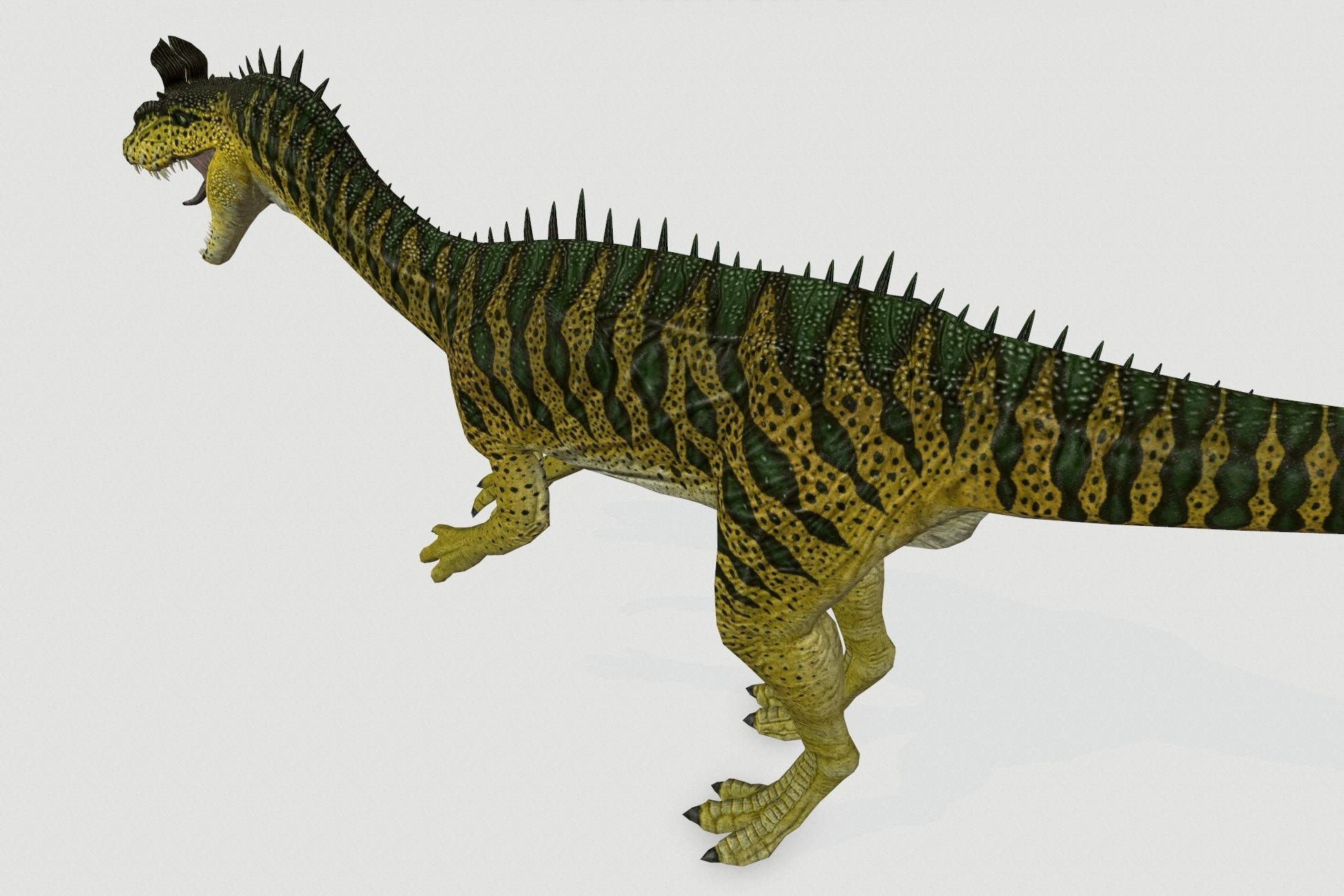 Cryolophosaurus Low-poly 3D model_6