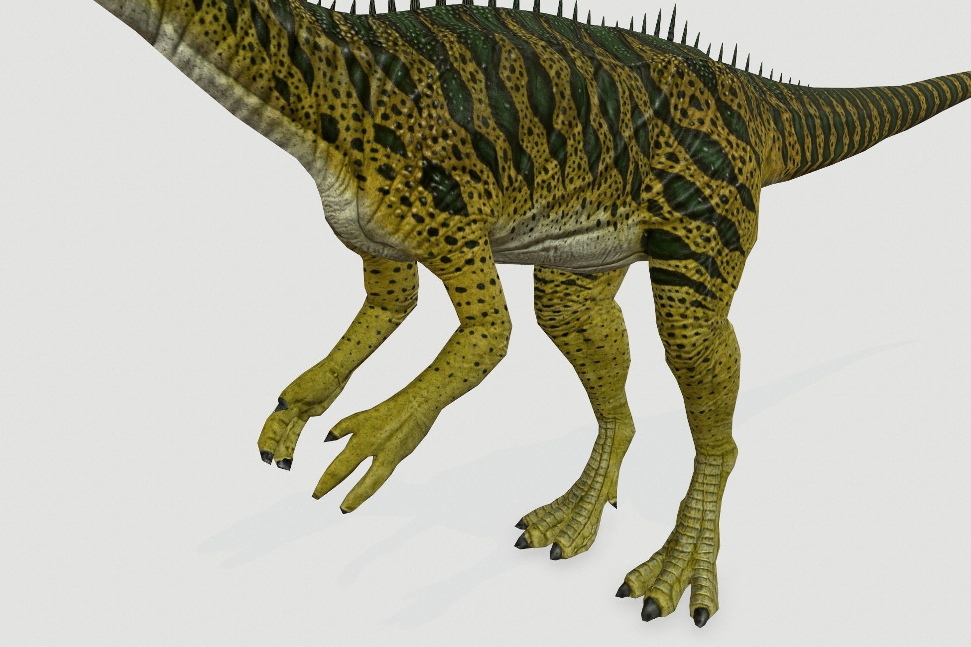 Cryolophosaurus Low-poly 3D model_5