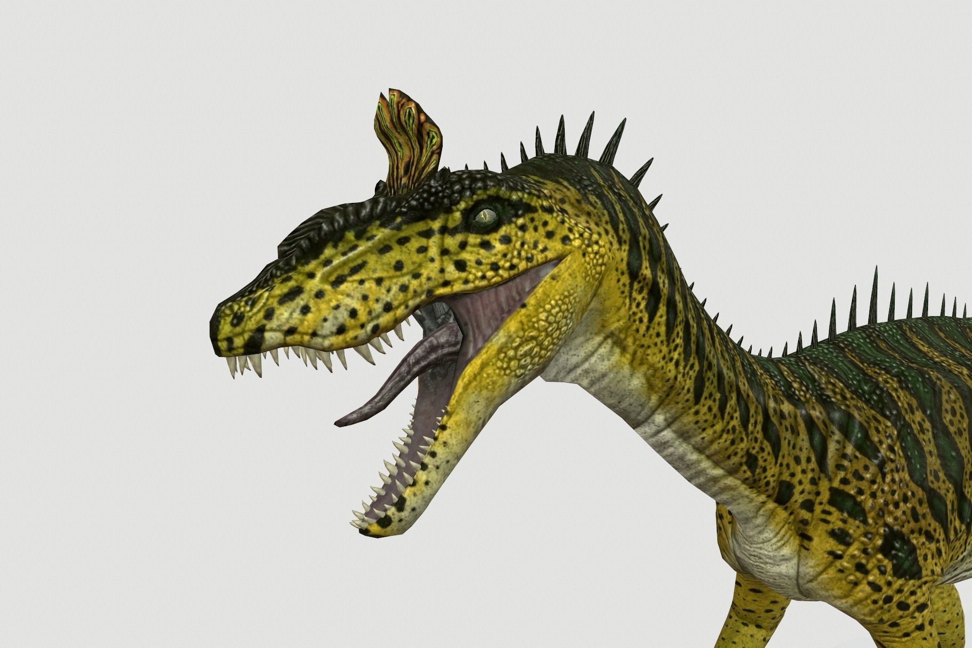 Cryolophosaurus Low-poly 3D model_4