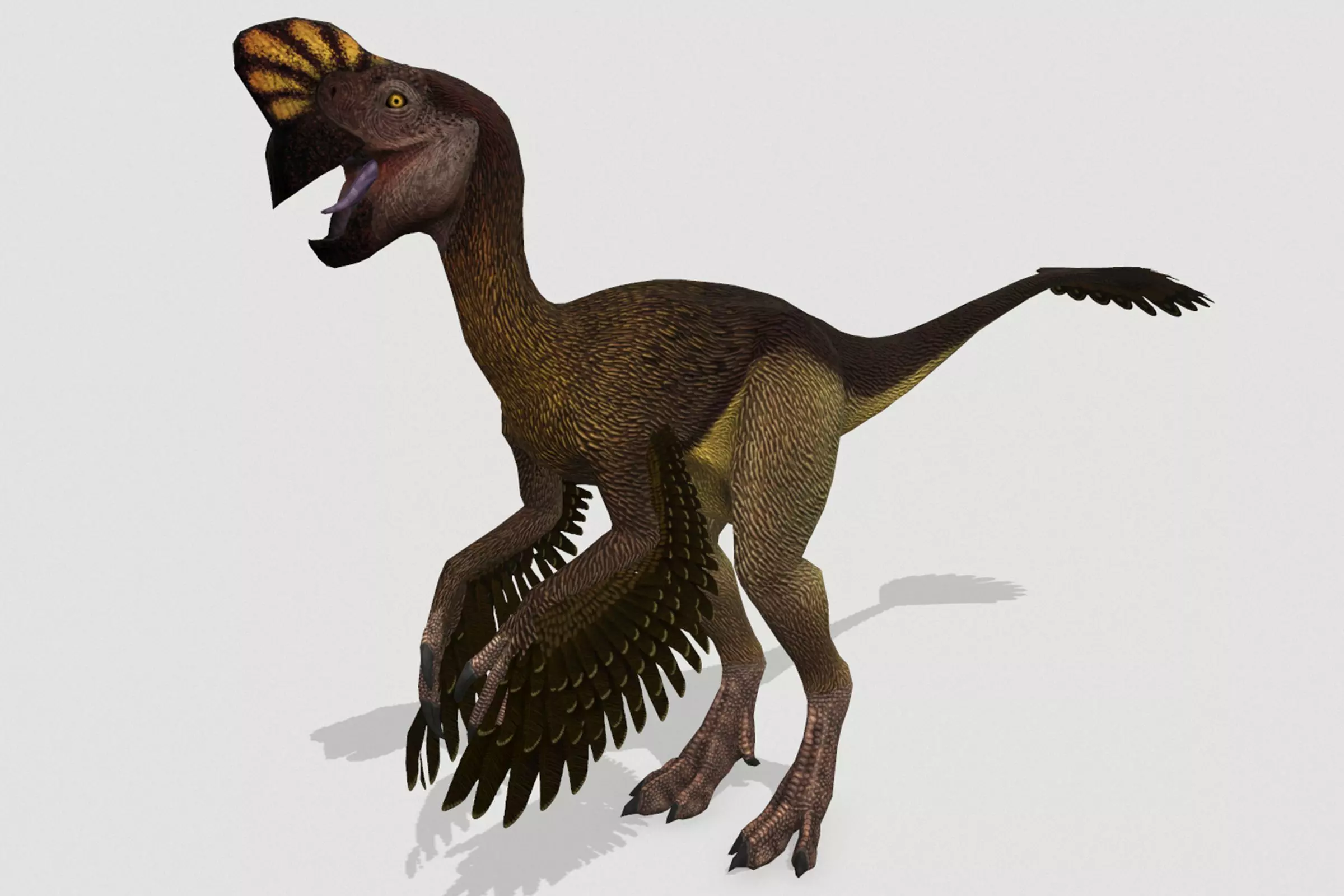 Oviraptor Low-poly 3D model_0