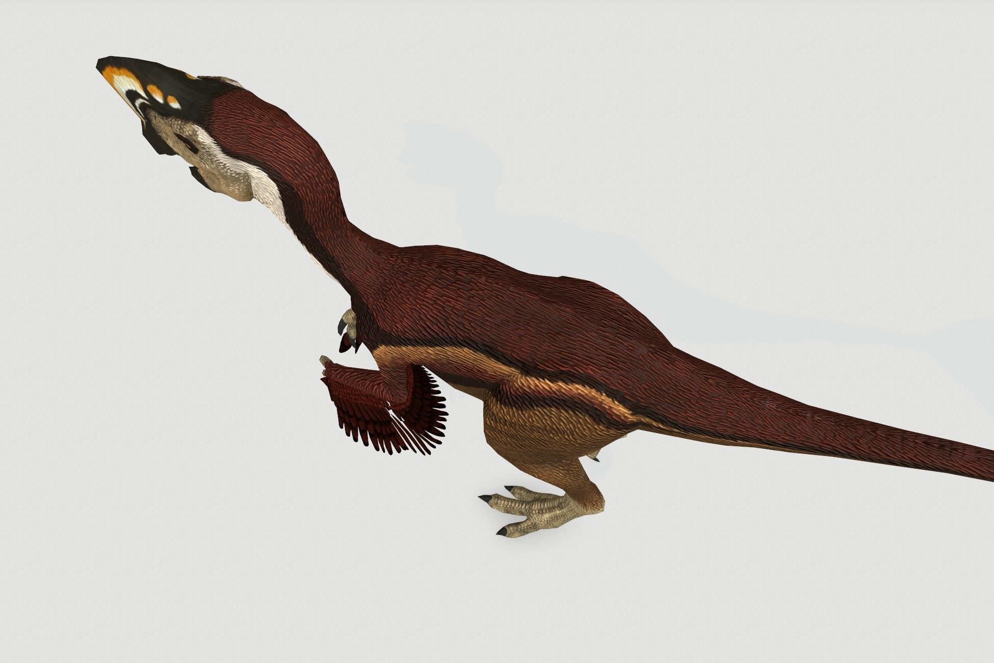 Oviraptor Low-poly 3D model_6