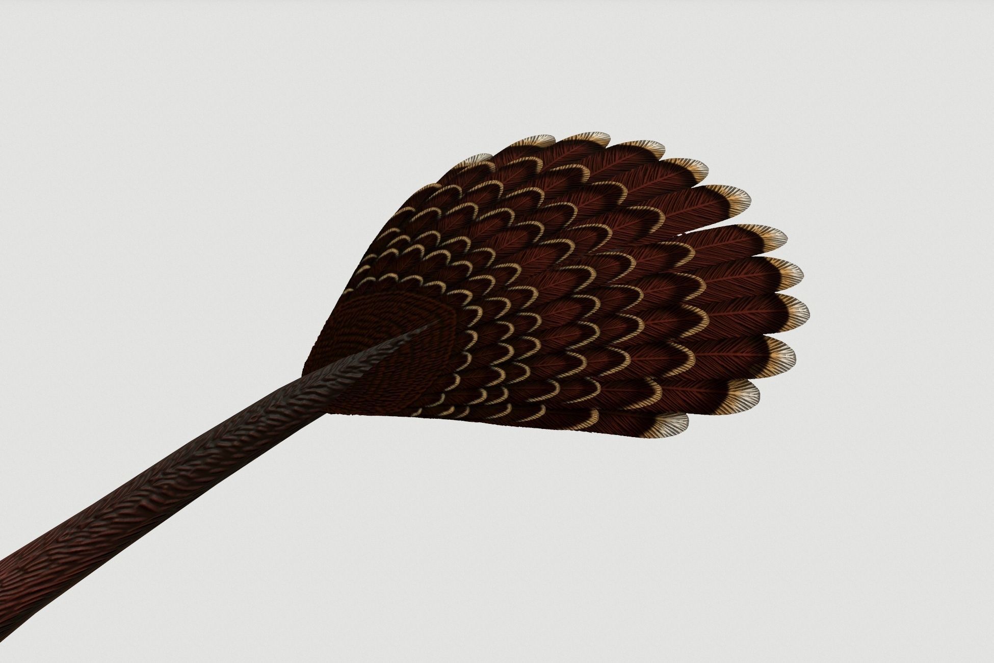 Oviraptor Low-poly 3D model_7