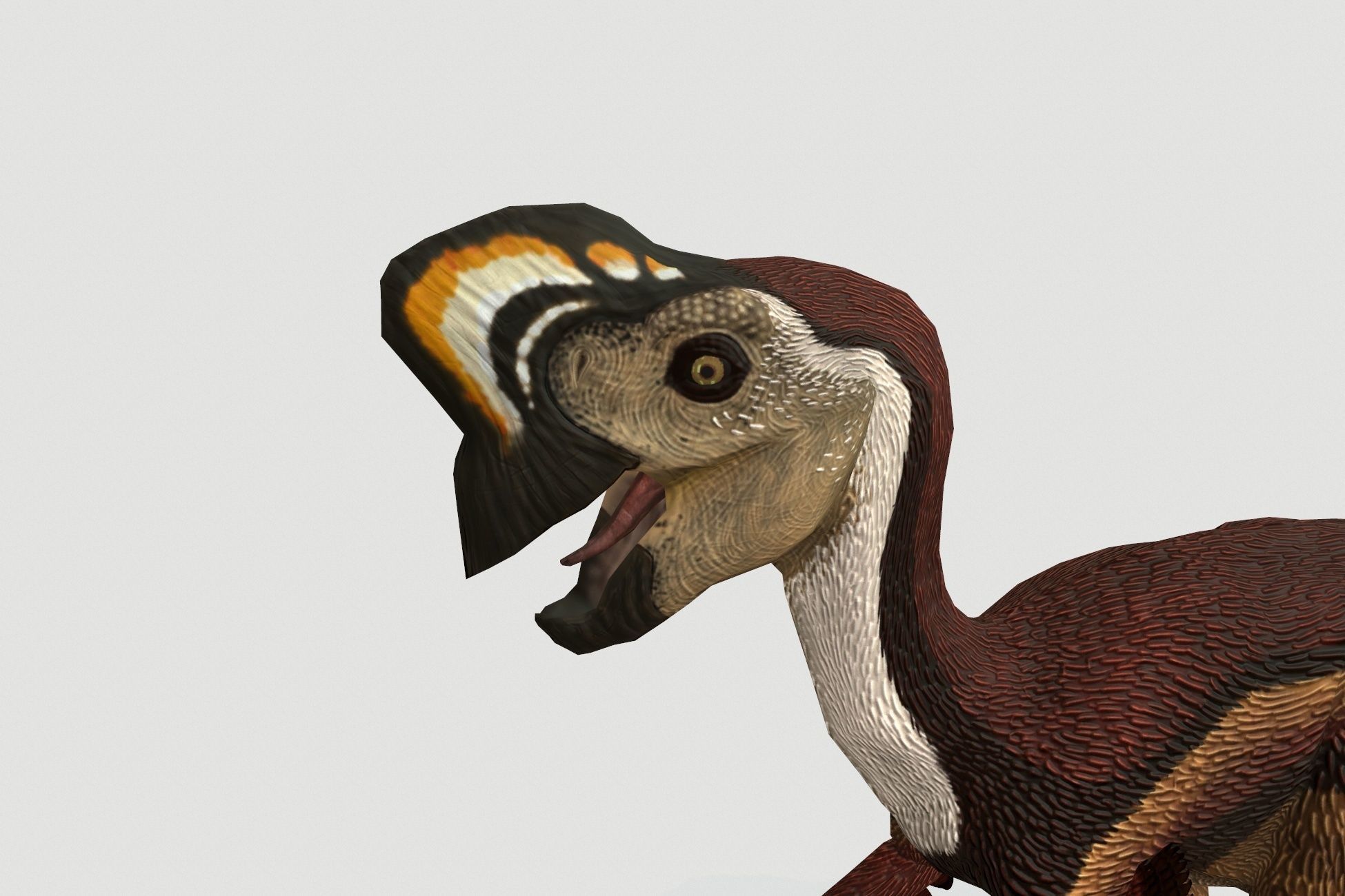 Oviraptor Low-poly 3D model_4