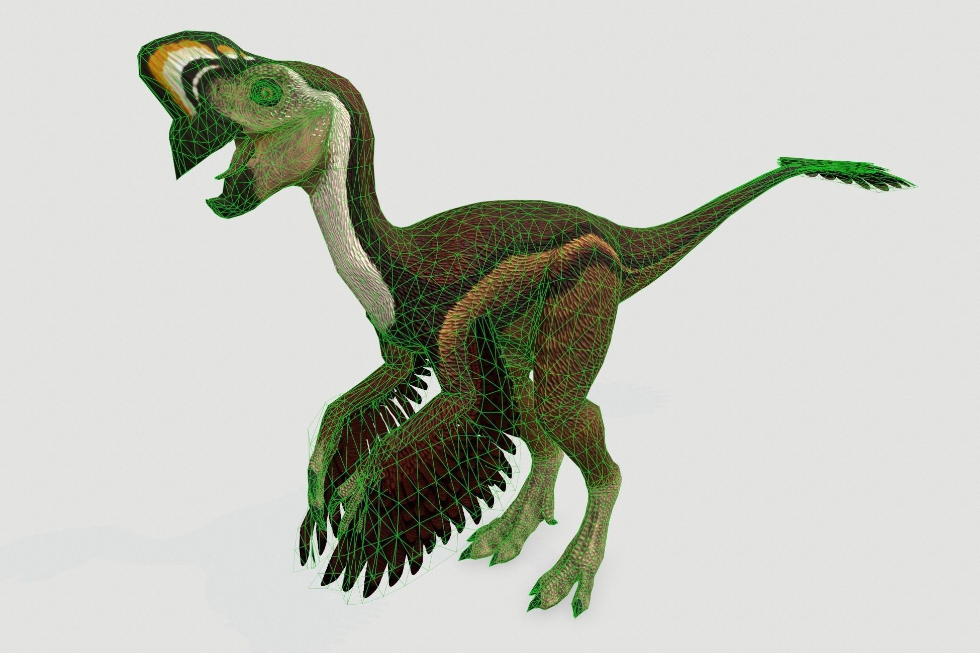 Oviraptor Low-poly 3D model_3