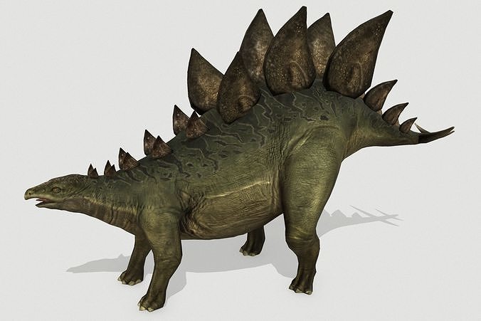 Stegosaurus Low-poly 3D model