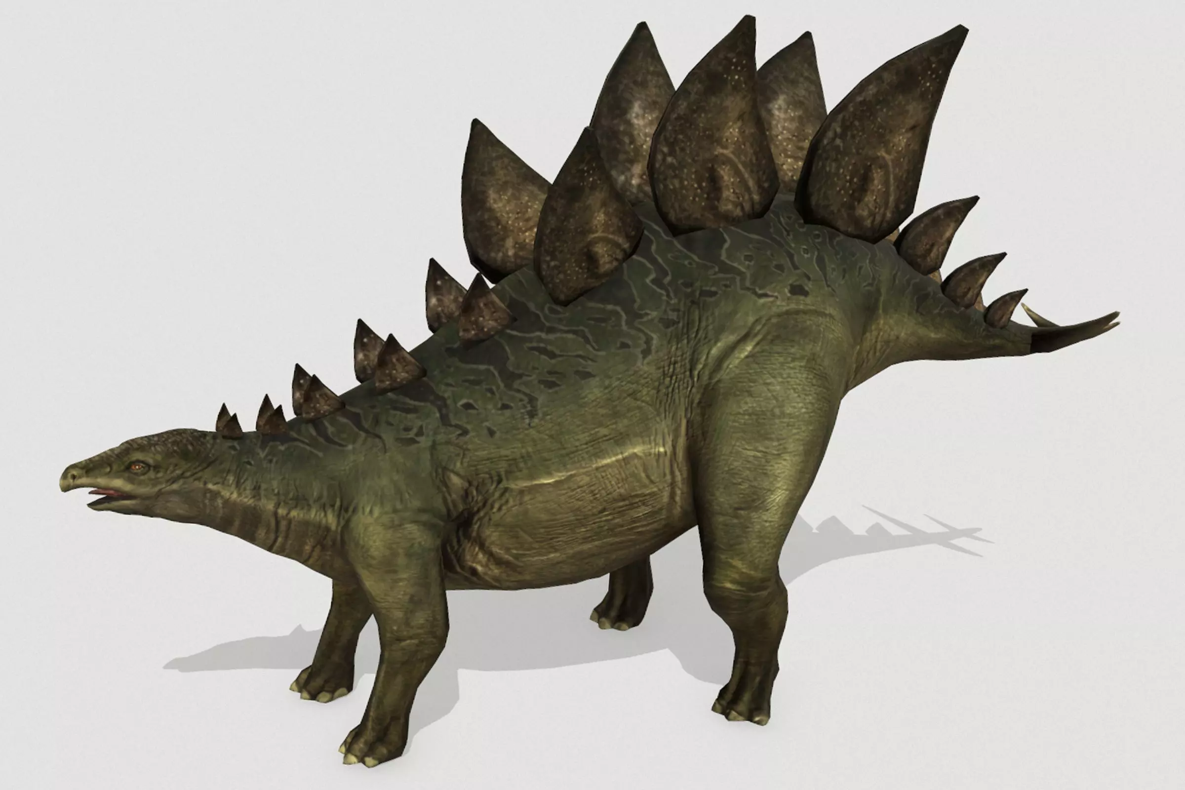 Stegosaurus Low-poly 3D model_0