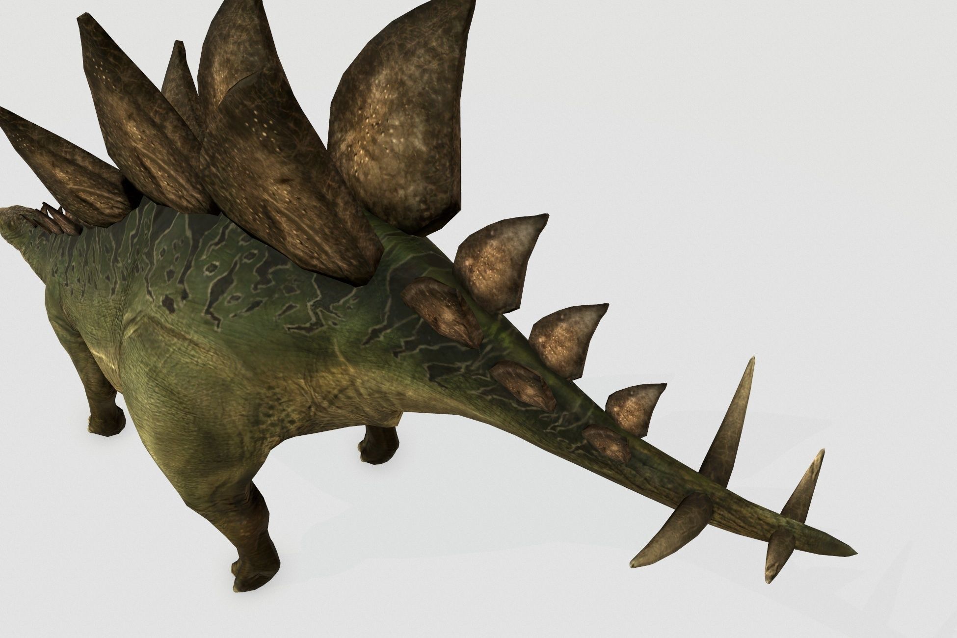 Stegosaurus Low-poly 3D model_6