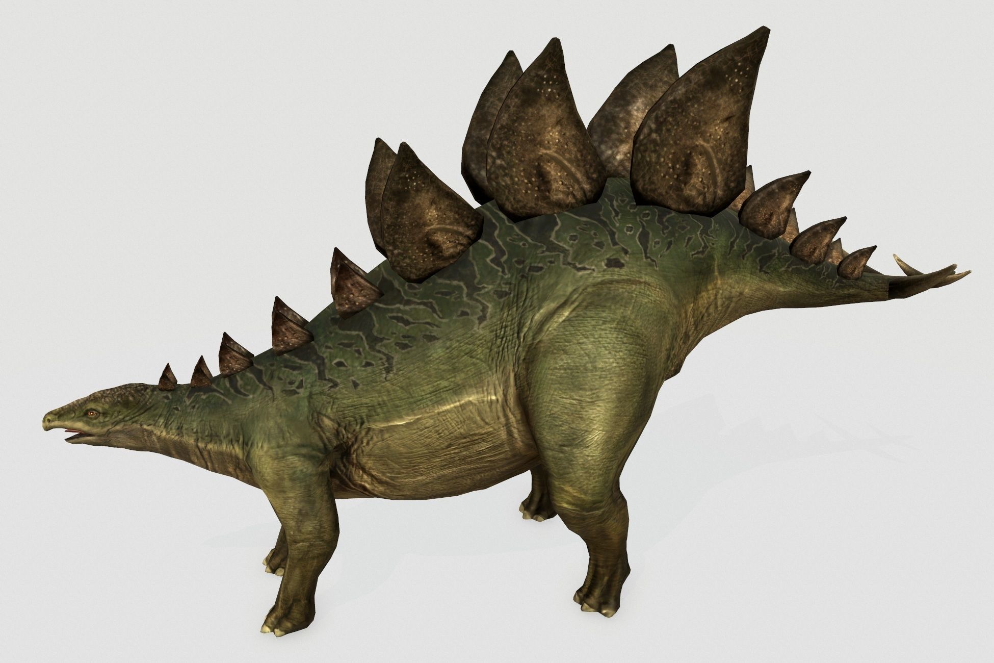 Stegosaurus Low-poly 3D model_3