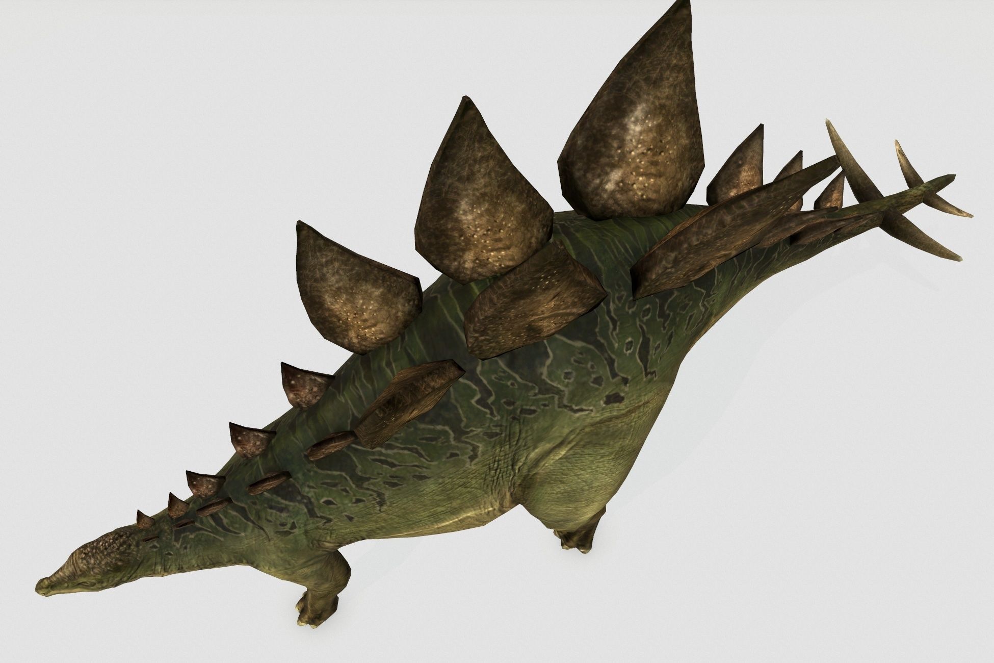 Stegosaurus Low-poly 3D model_5