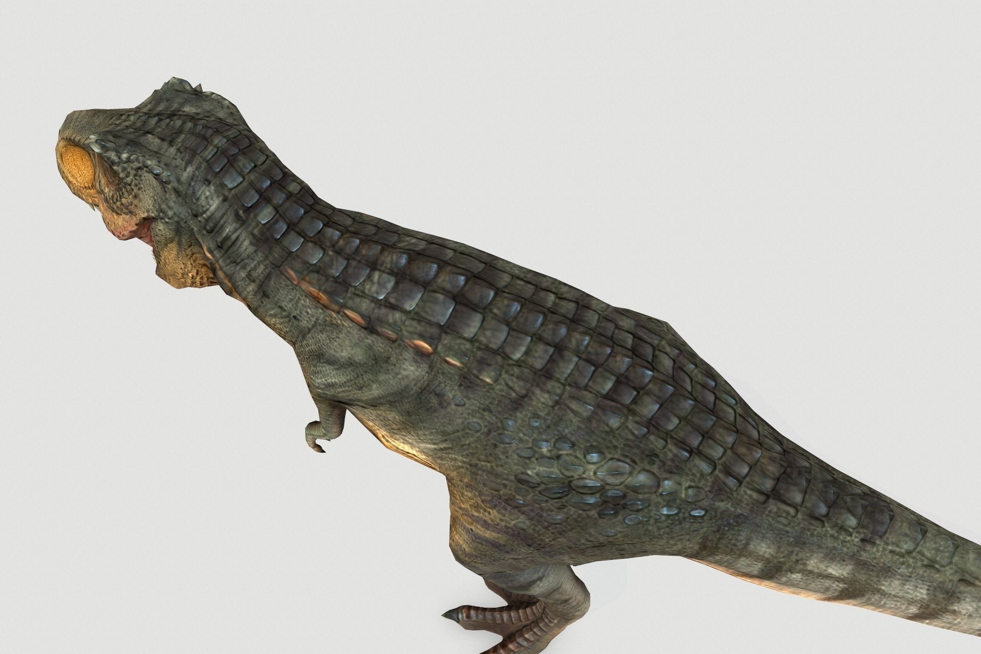 Tyrannosaurus Low-poly 3D model_6