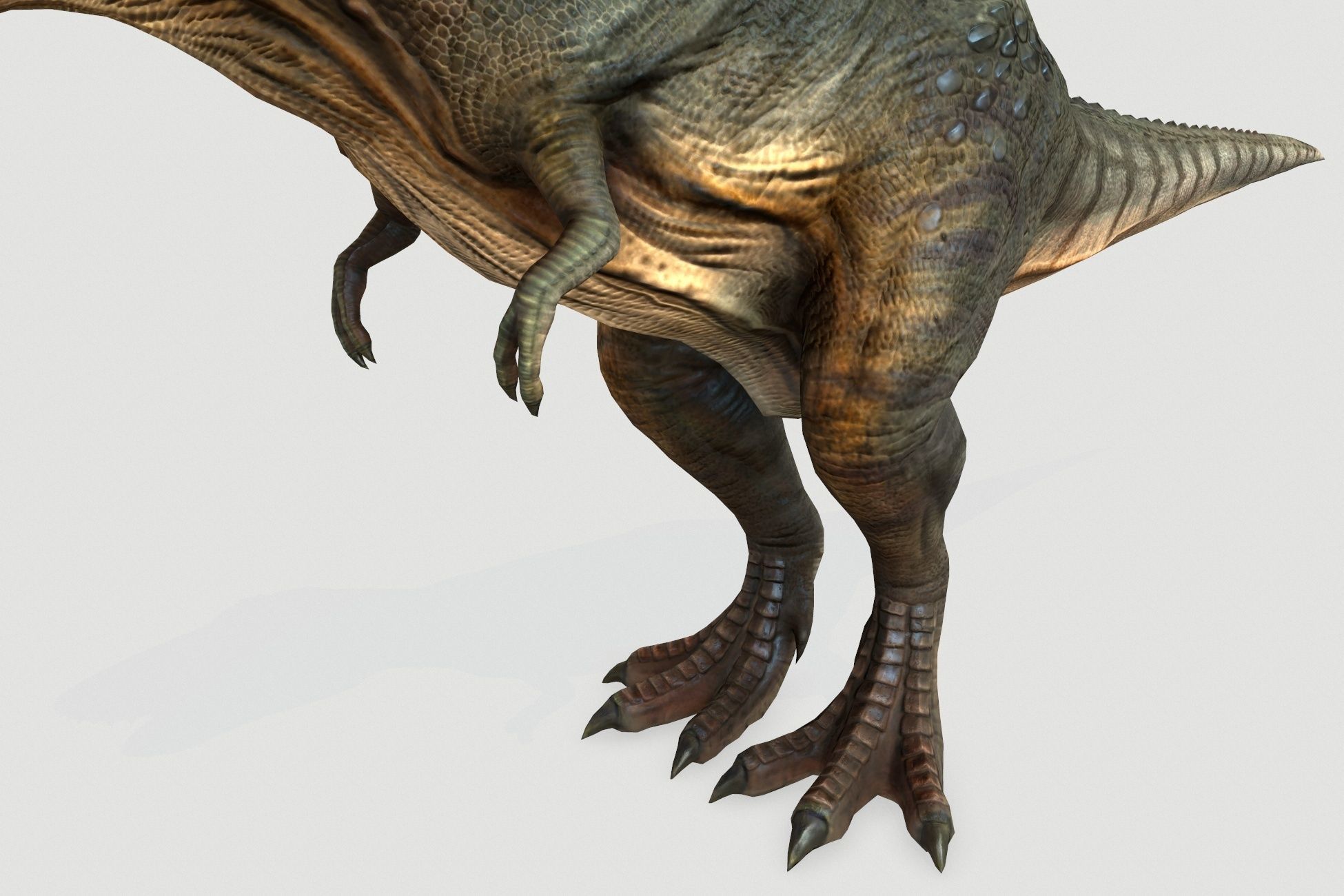 Tyrannosaurus Low-poly 3D model_5
