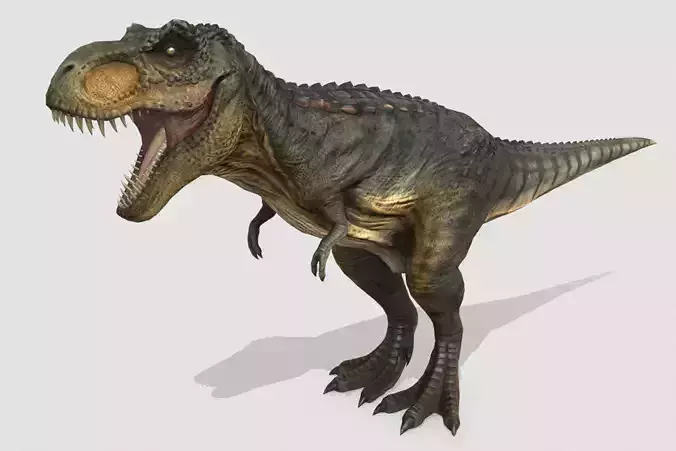 Tyrannosaurus Low-poly 3D model