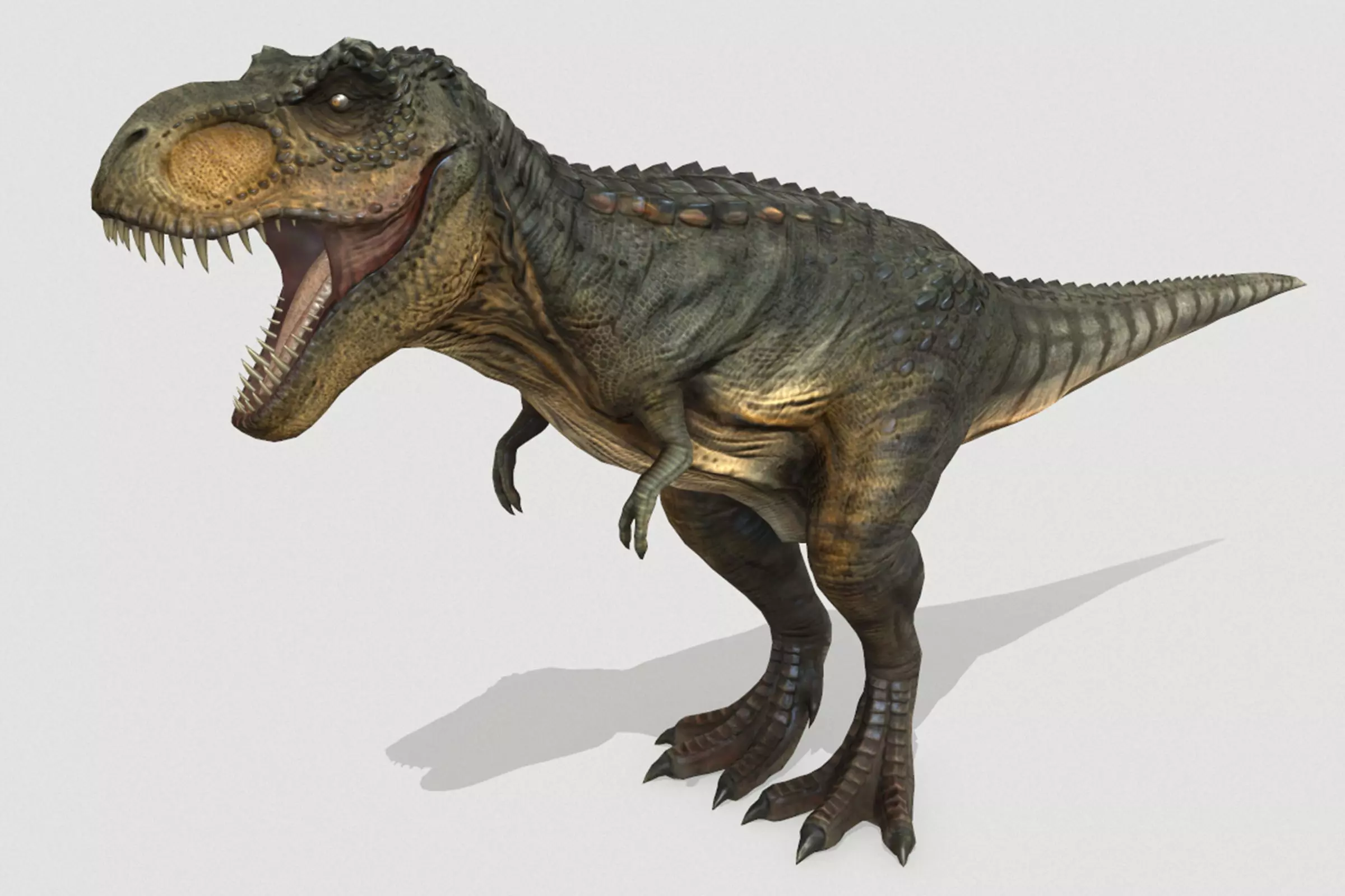 Tyrannosaurus Low-poly 3D model_0