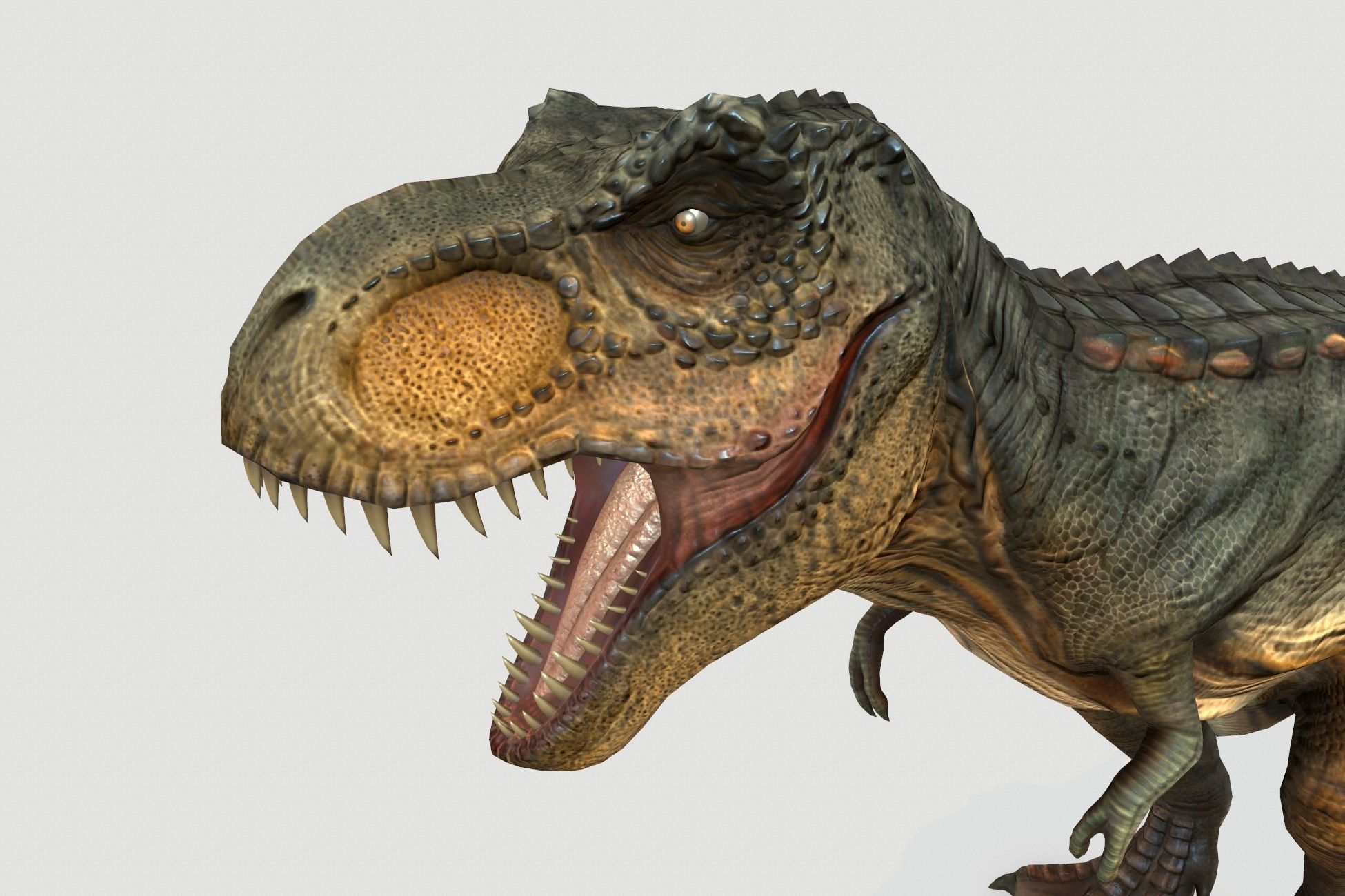 Tyrannosaurus Low-poly 3D model_1