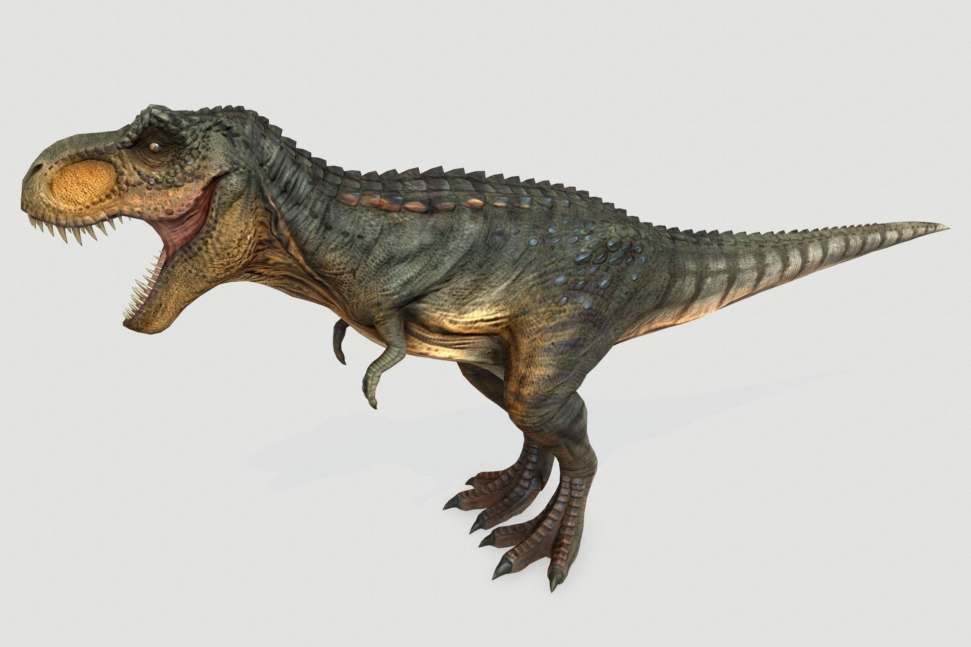 Tyrannosaurus Low-poly 3D model_3