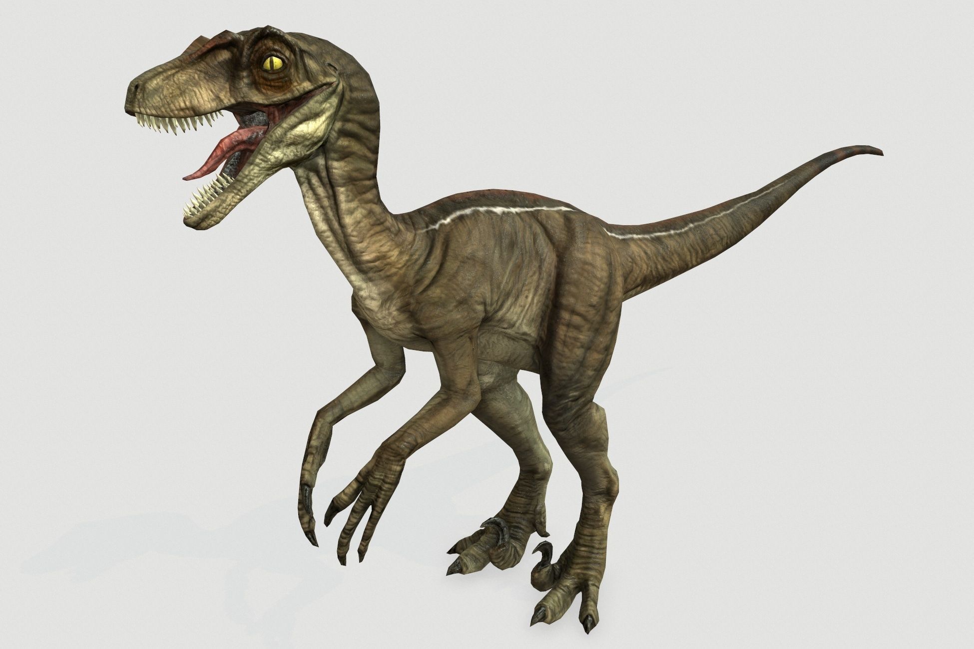 Dinosaurs pack Low-poly 3D model_19