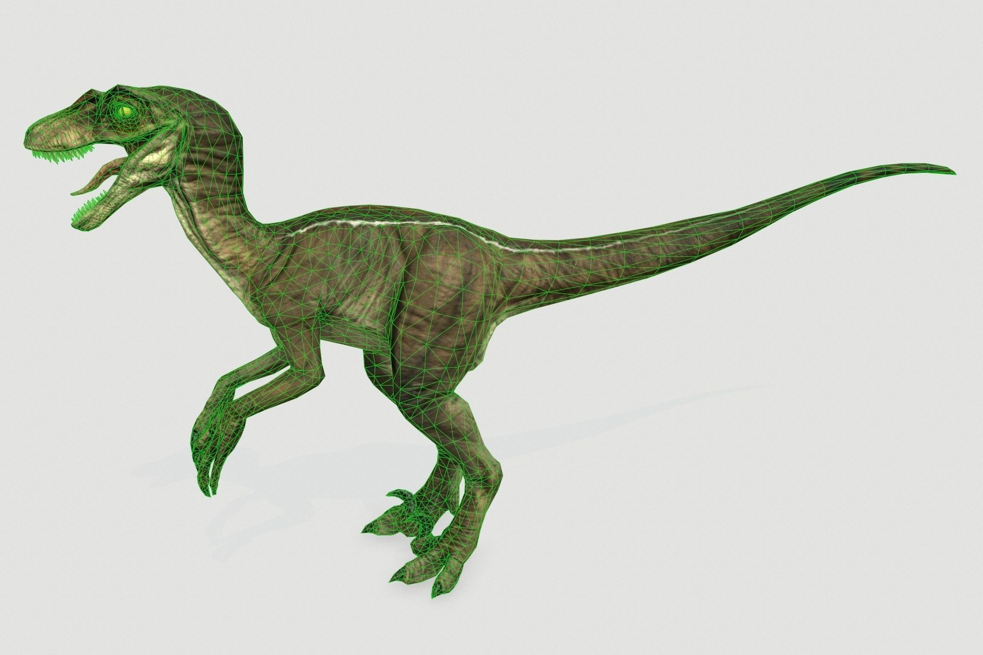 Dinosaurs pack Low-poly 3D model_22