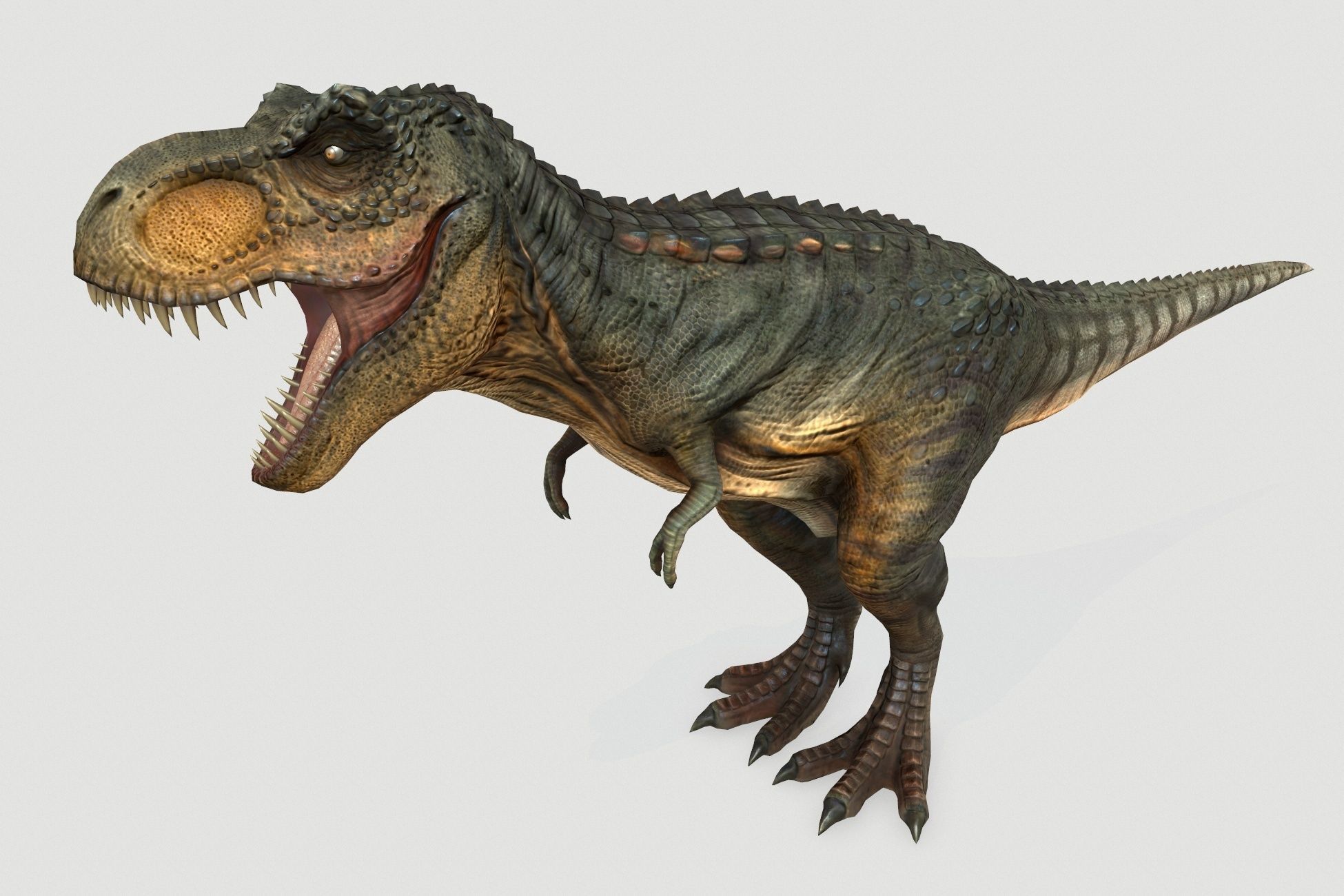 Dinosaurs pack Low-poly 3D model_29