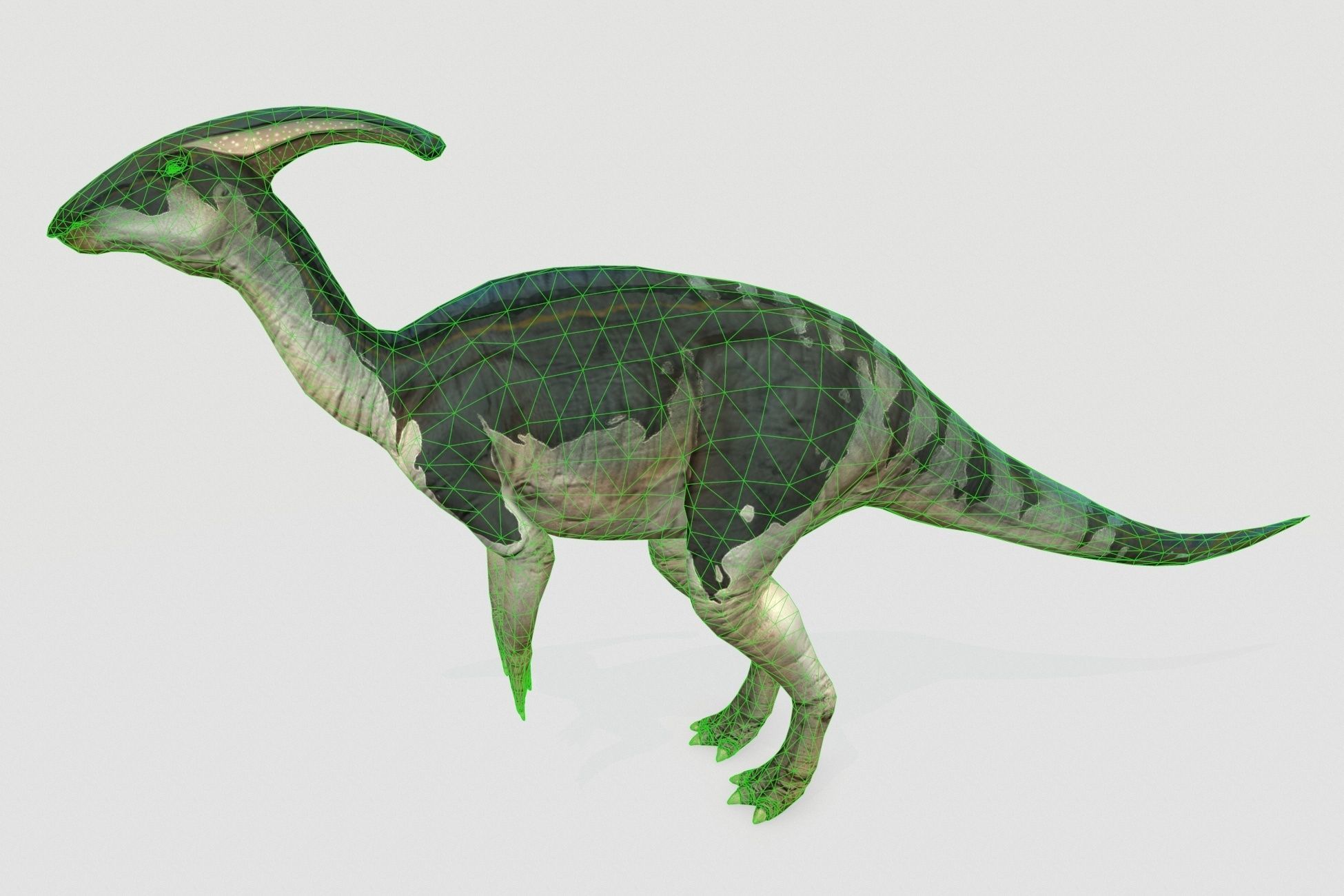Dinosaurs pack Low-poly 3D model_12