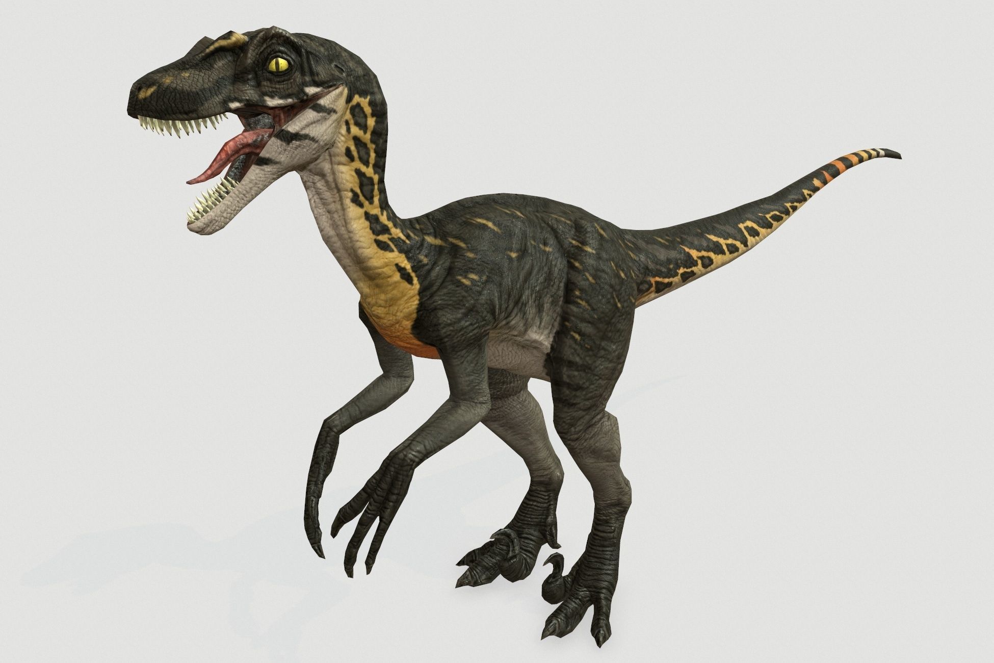 Dinosaurs pack Low-poly 3D model_20