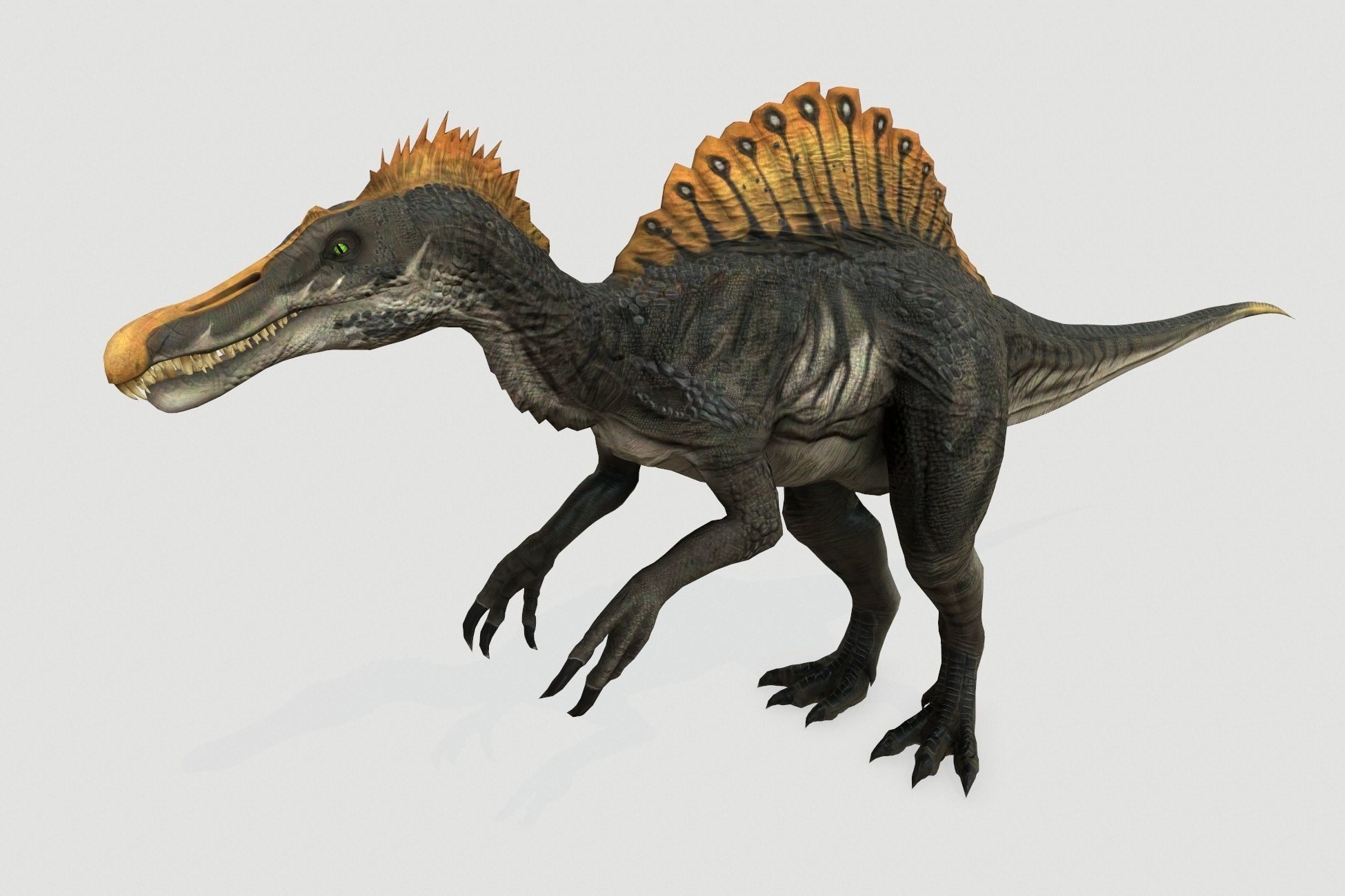 Dinosaurs pack Low-poly 3D model_25