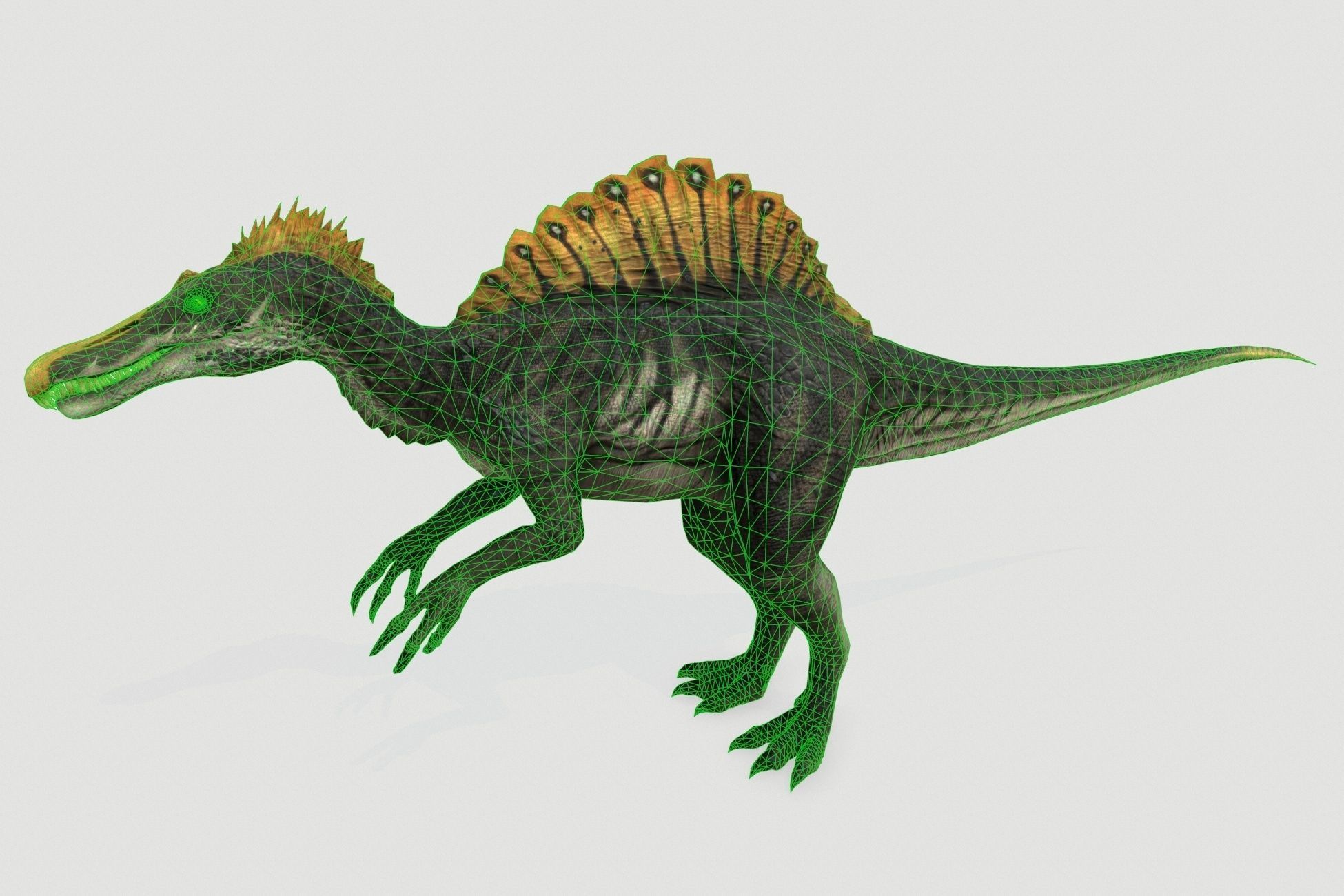 Dinosaurs pack Low-poly 3D model_24