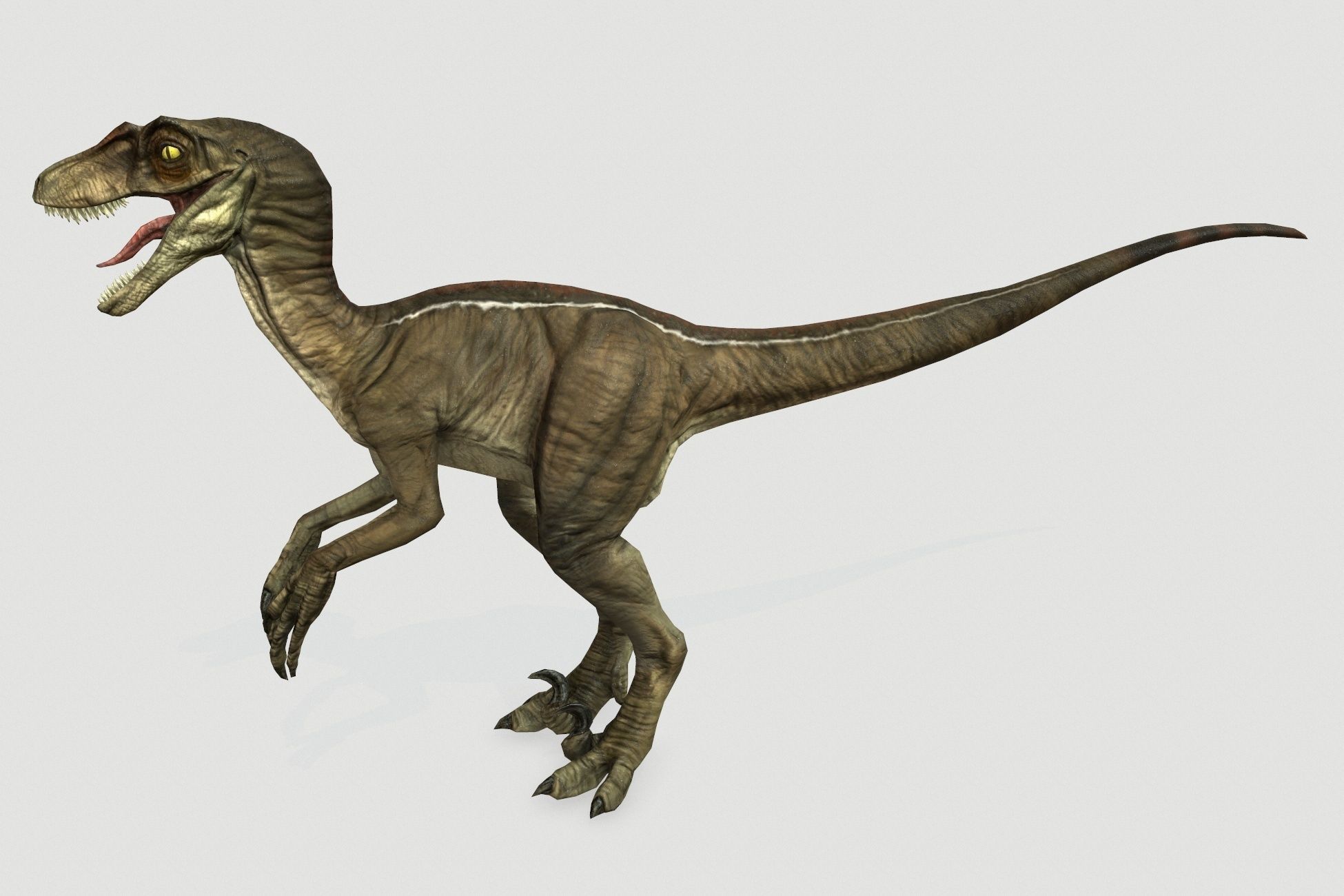 Dinosaurs pack Low-poly 3D model_21