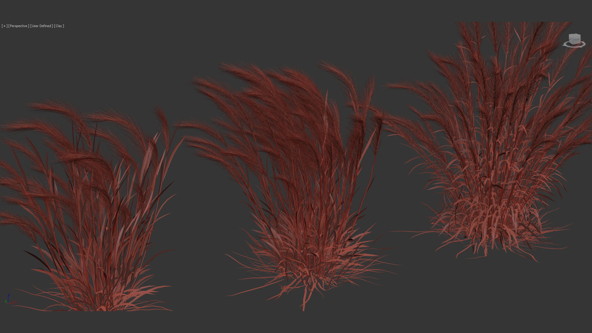 Isolepis cernua Fibre optic grass 3D Model 01 3D model_11