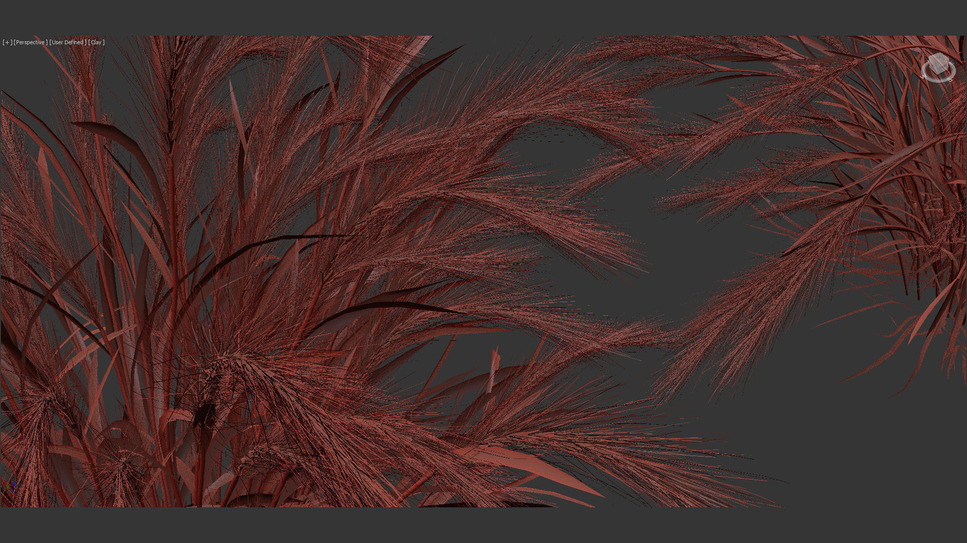 Isolepis cernua Fibre optic grass 3D Model 01 3D model_13