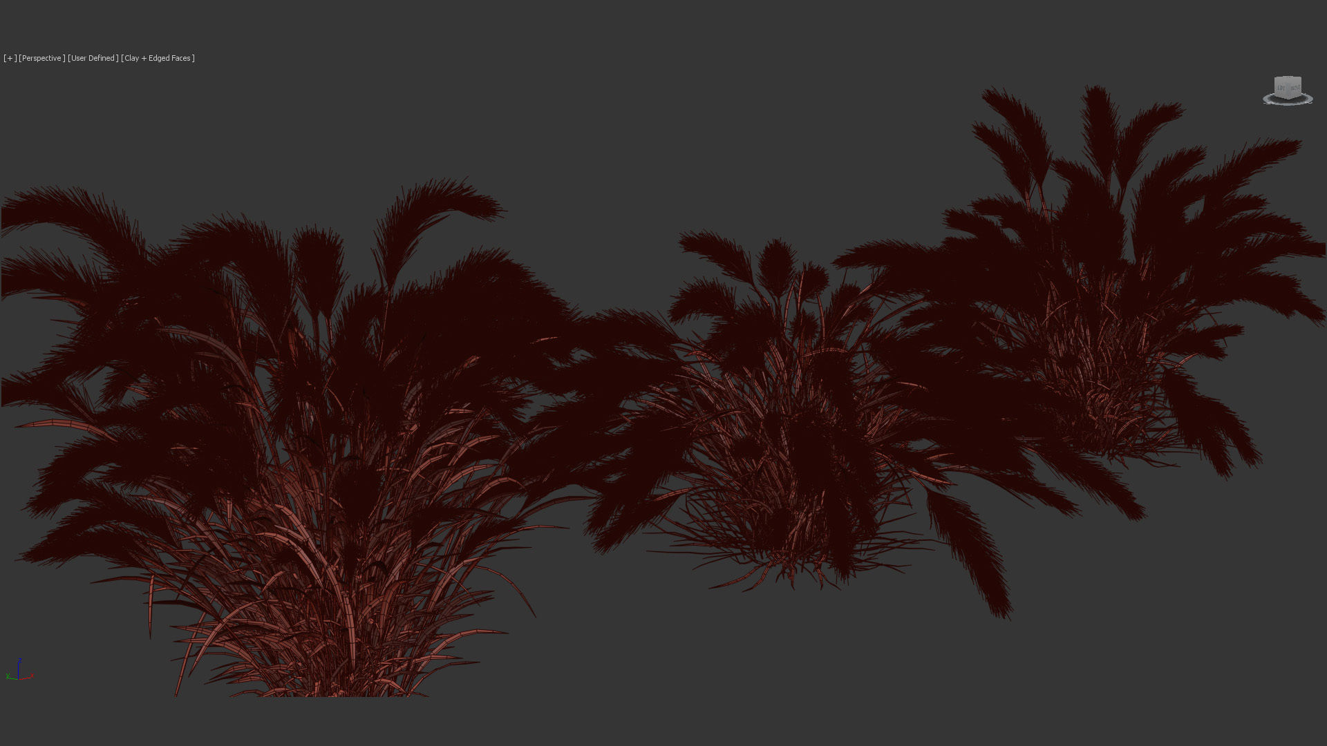 Isolepis cernua Fibre optic grass 3D Model 01 3D model_10