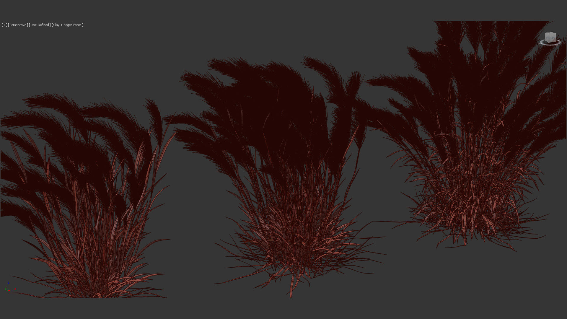 Isolepis cernua Fibre optic grass 3D Model 01 3D model_12
