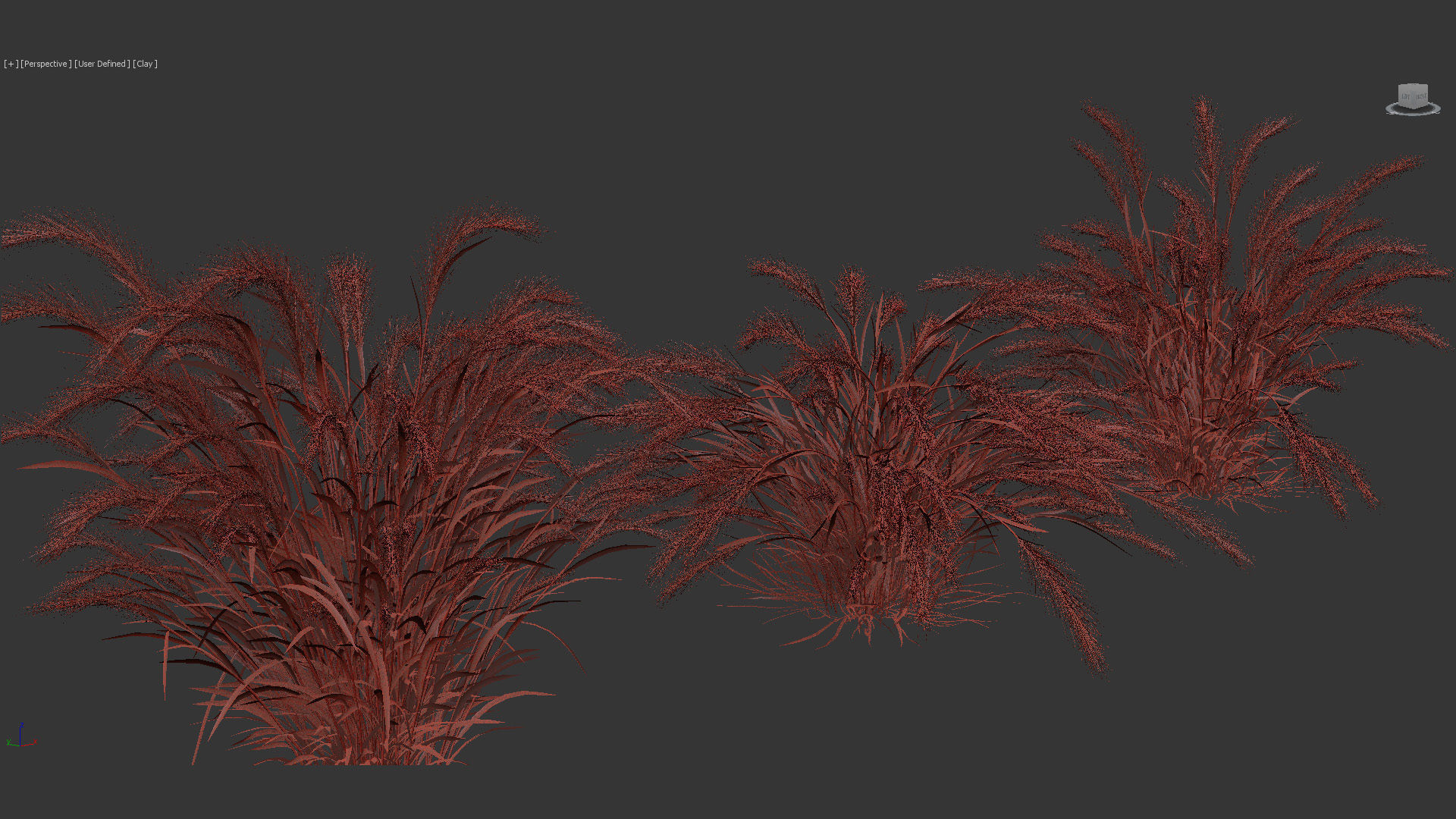 Isolepis cernua Fibre optic grass 3D Model 01 3D model_9