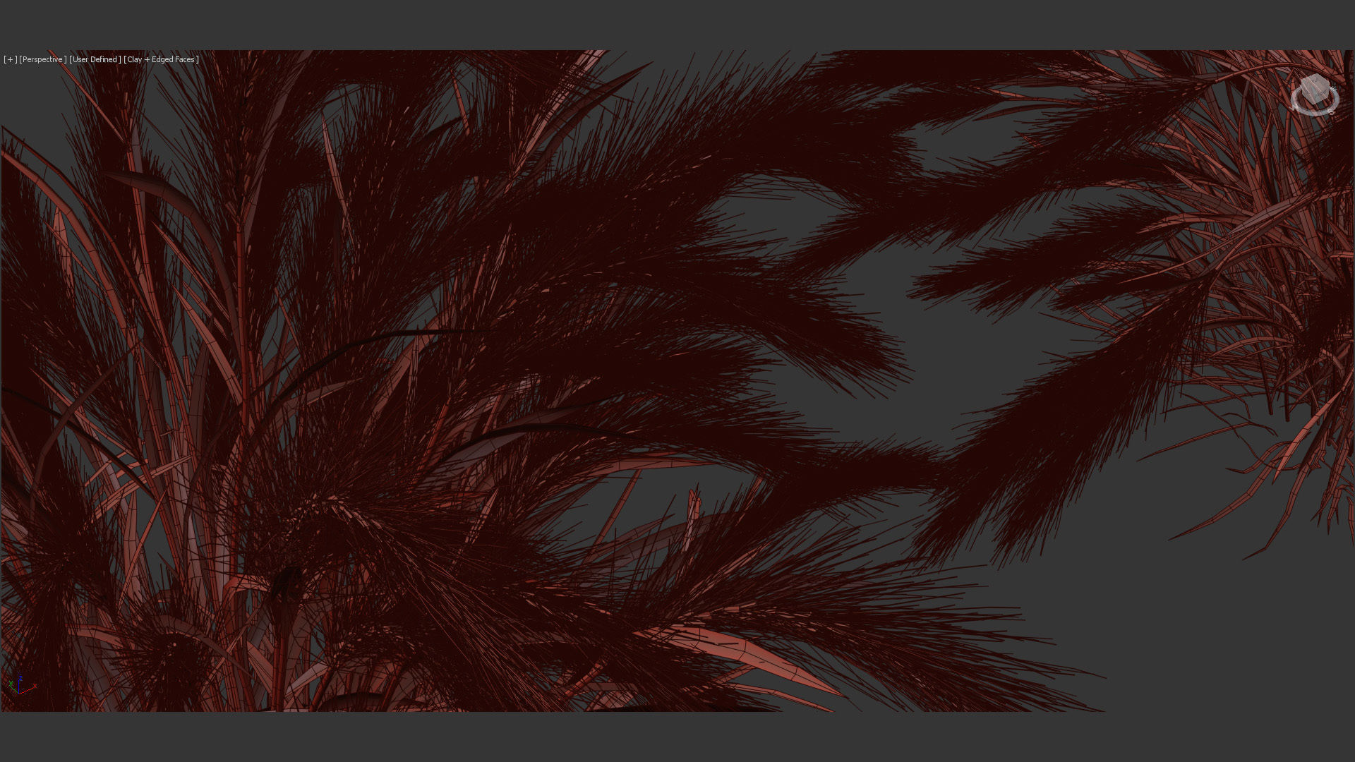 Isolepis cernua Fibre optic grass 3D Model 01 3D model_14