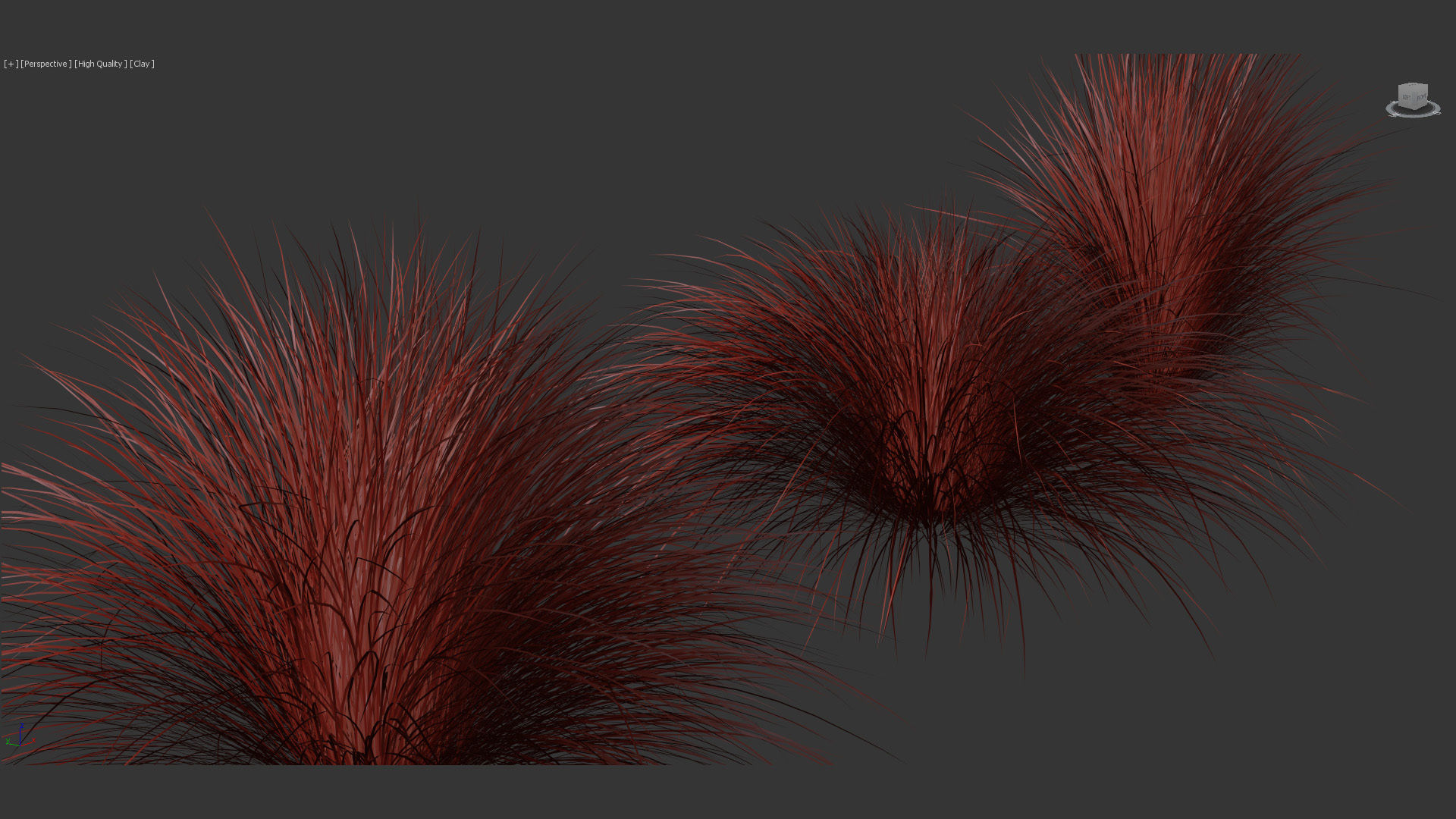 Festuca mairei Atlas fescue 3D Model 01 3D model_11