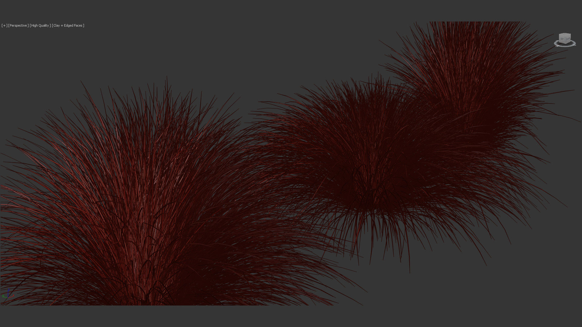 Festuca mairei Atlas fescue 3D Model 01 3D model_12